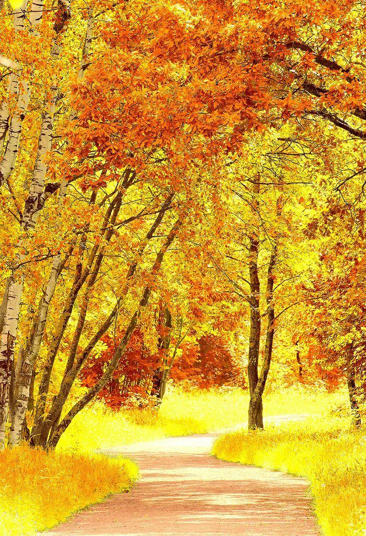 October Scenery Wallpapers - Top Free October Scenery Backgrounds 