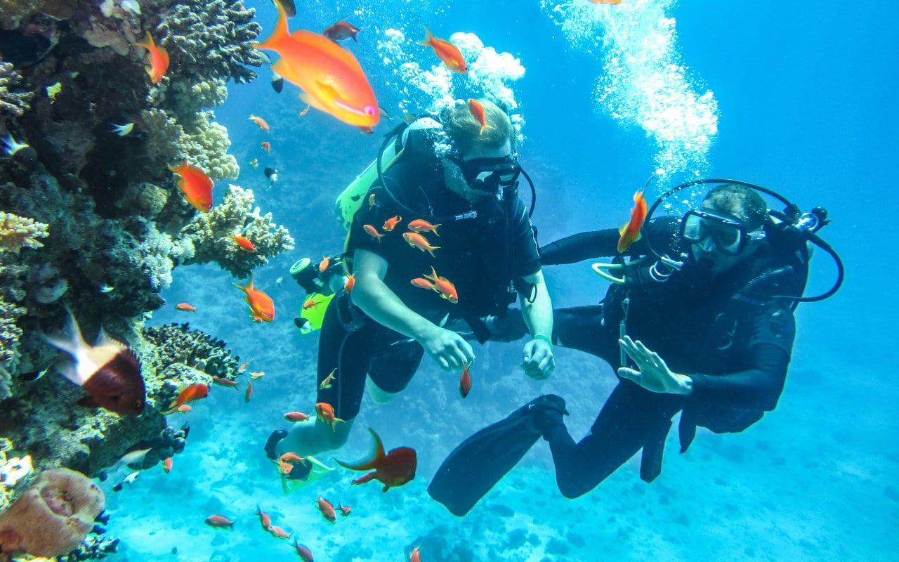 1280x800 Scuba diving: everything you need to know about getting your PADI