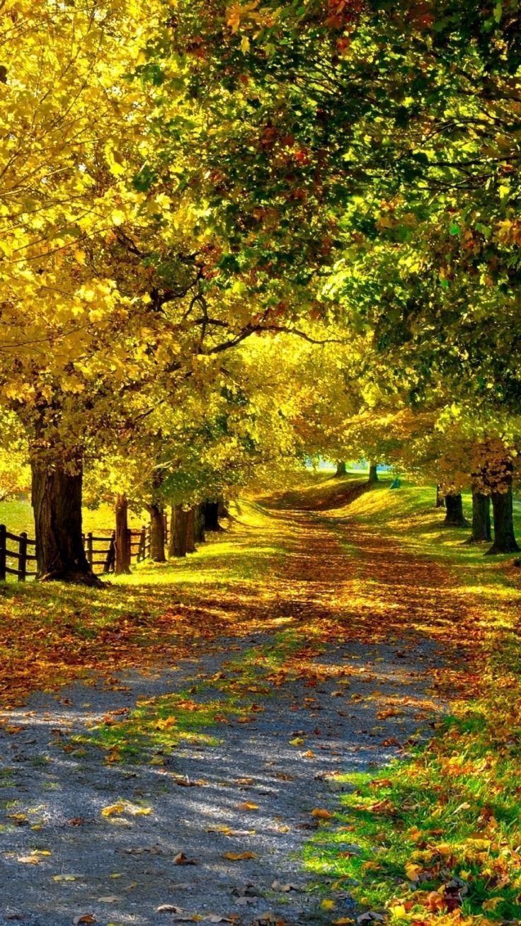 736x1308 best October Roads image. Country roads, Autumn