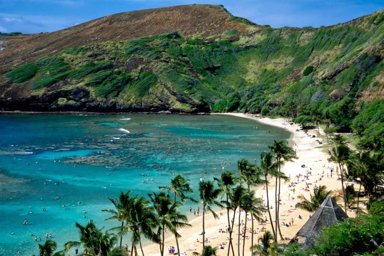1280x853 Snorkeling Wallpaper