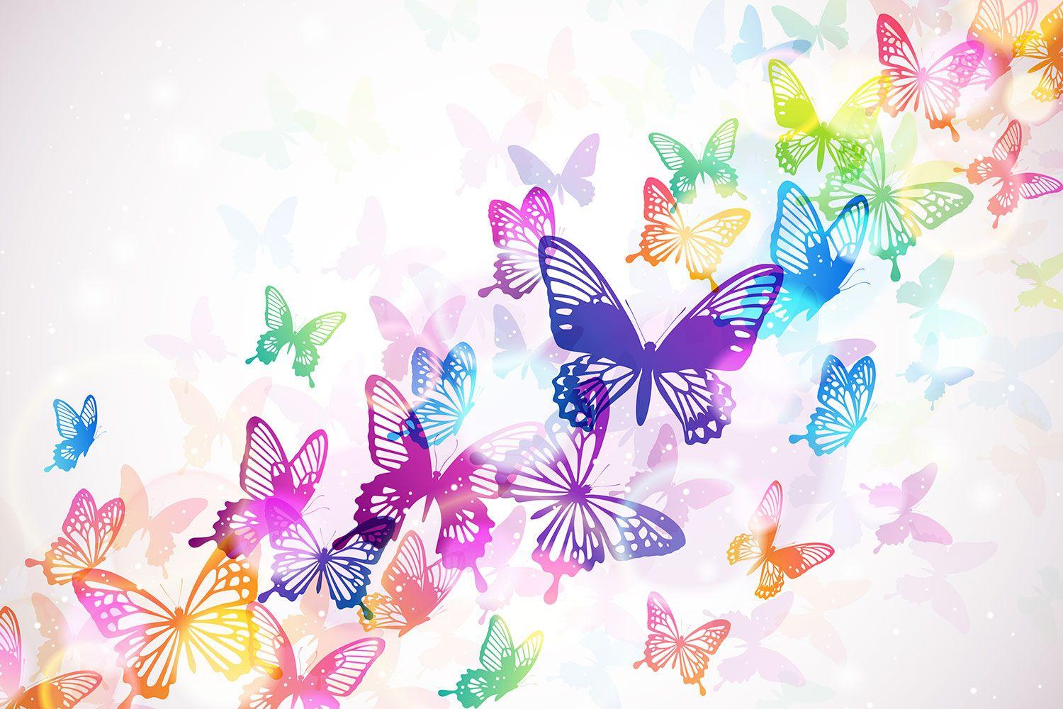 Rainbow Glitter Butterflies  Rainbow butterfly  Blue butterfly wallpaper Butterfly  wallpaper Cute wallpaper backgrounds