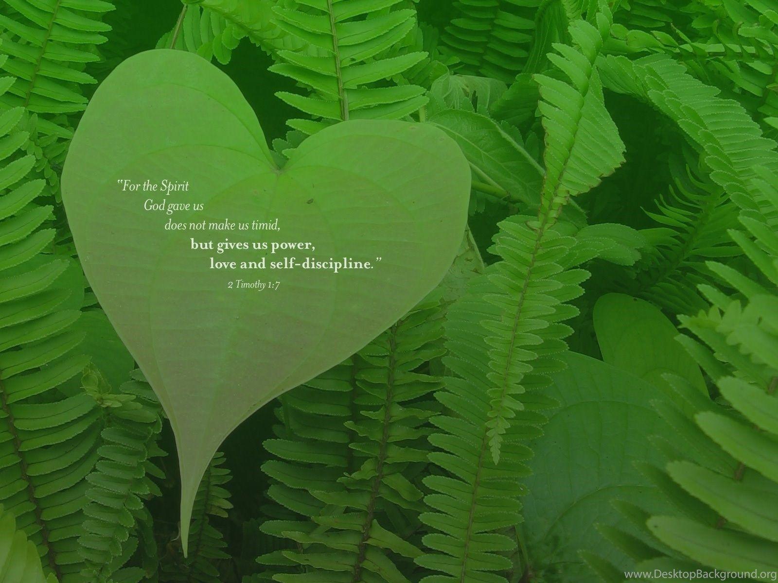 1600x1200 Timothy 1:7 Power, Love And Self discipline Wallpaper. Desktop Background