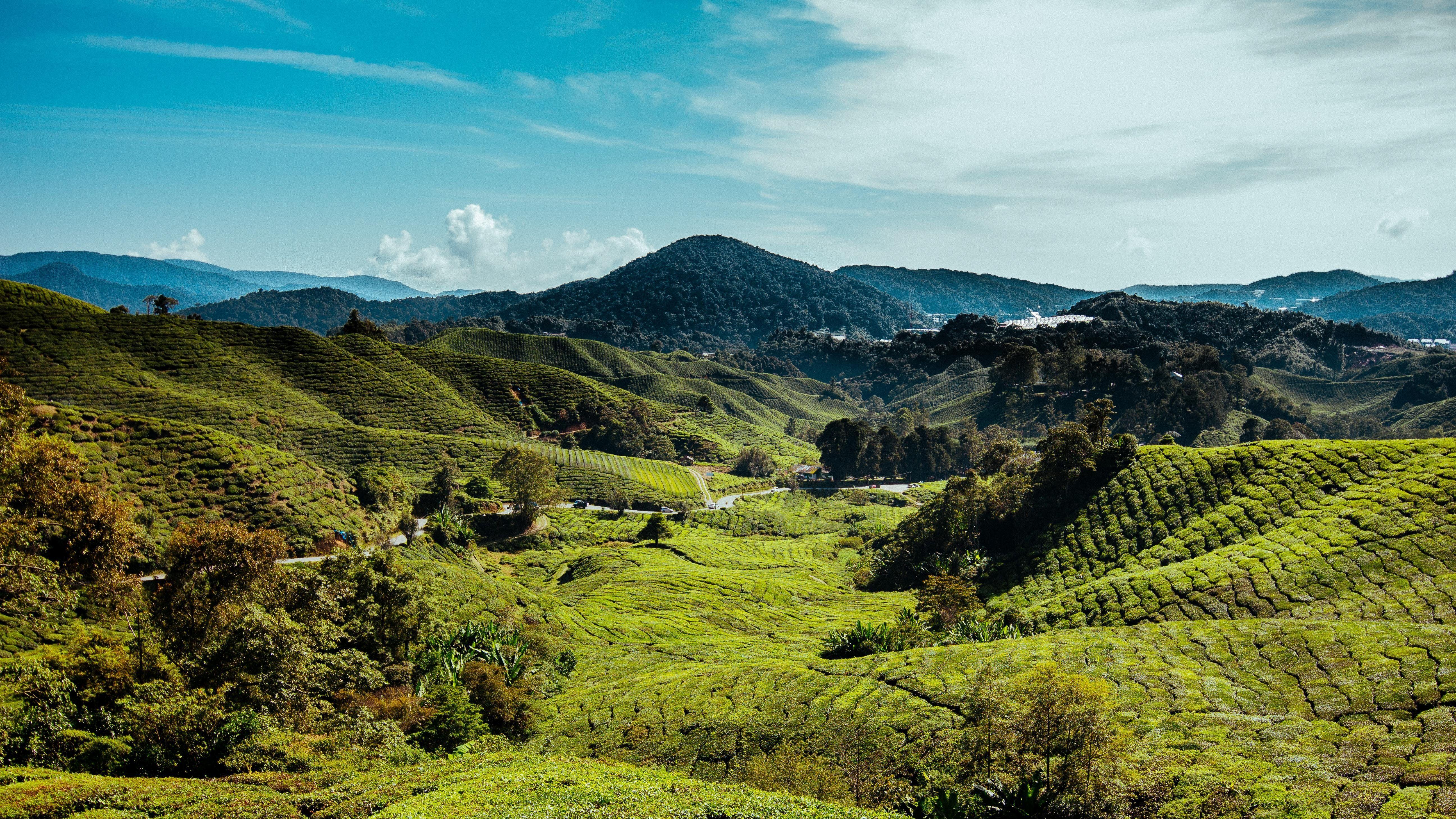 5184x2916 Cameron Highlands 4K wallpaper