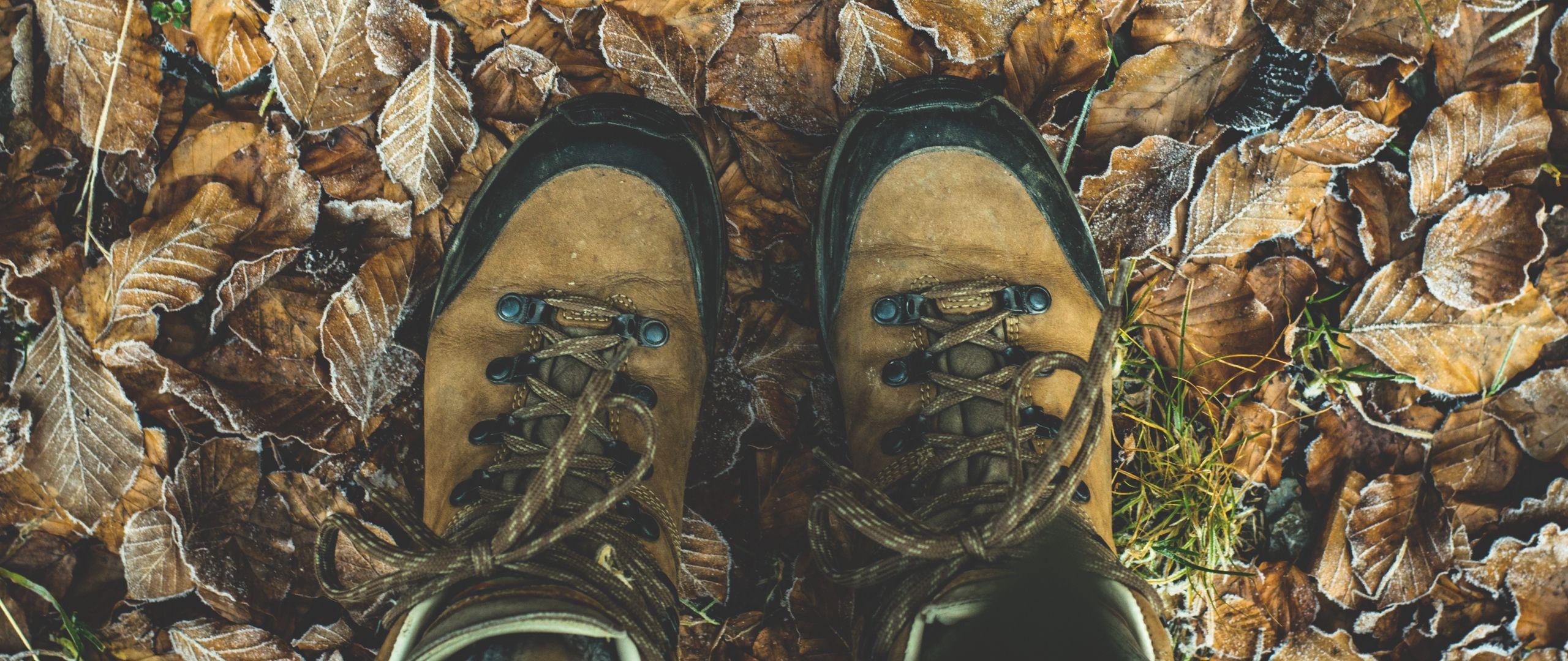 2560x1080 Download wallpaper 2560x1080 shoes, autumn, legs, foliage dual