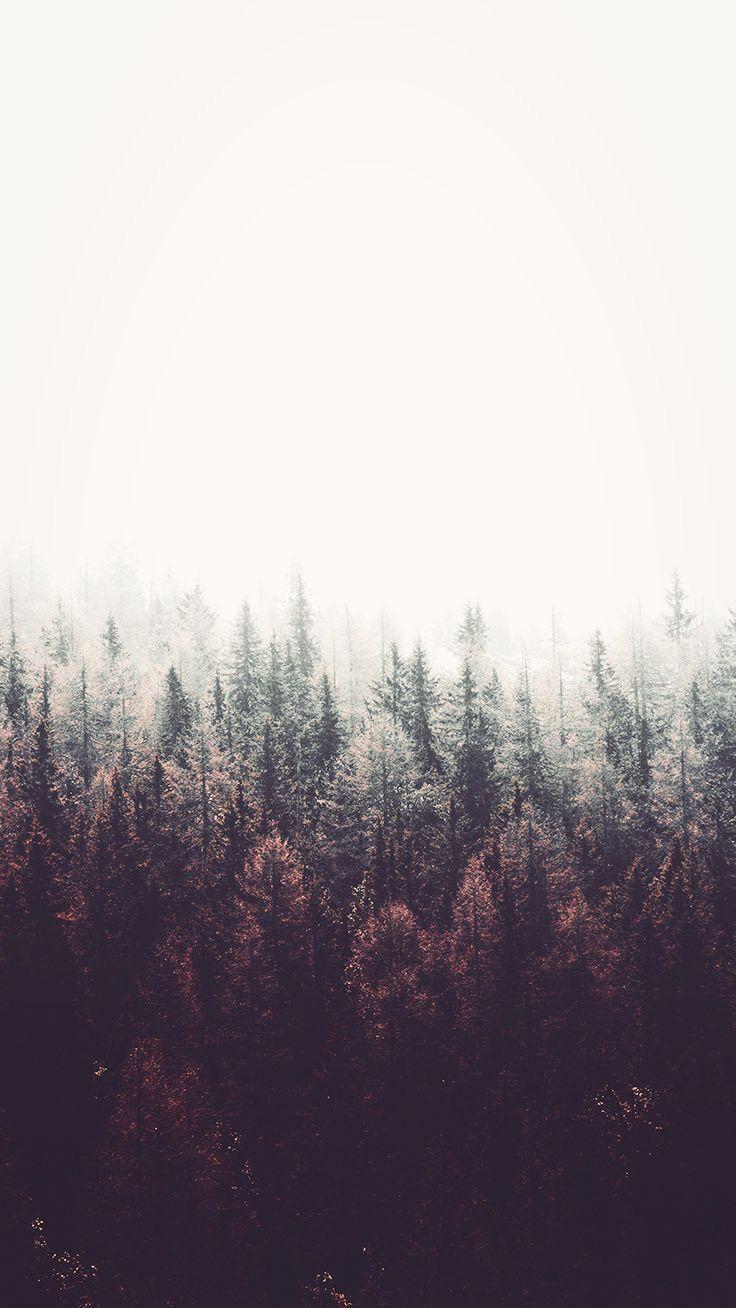 736x1308 Connecting the World with the Otherworldly. Forest wallpaper, Preppy wallpaper, iPhone wallpaper