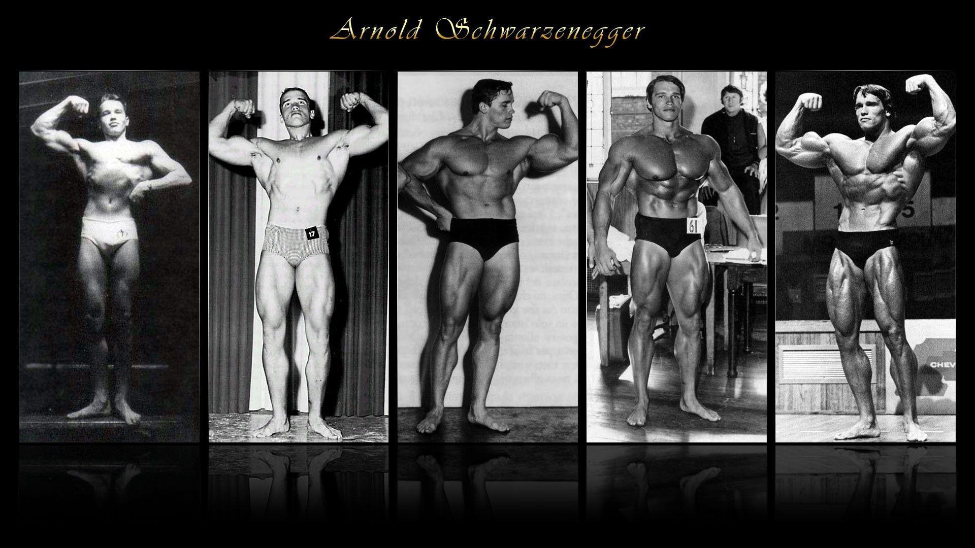 1920x1080 Arnold Bodybuilding Wallpaper