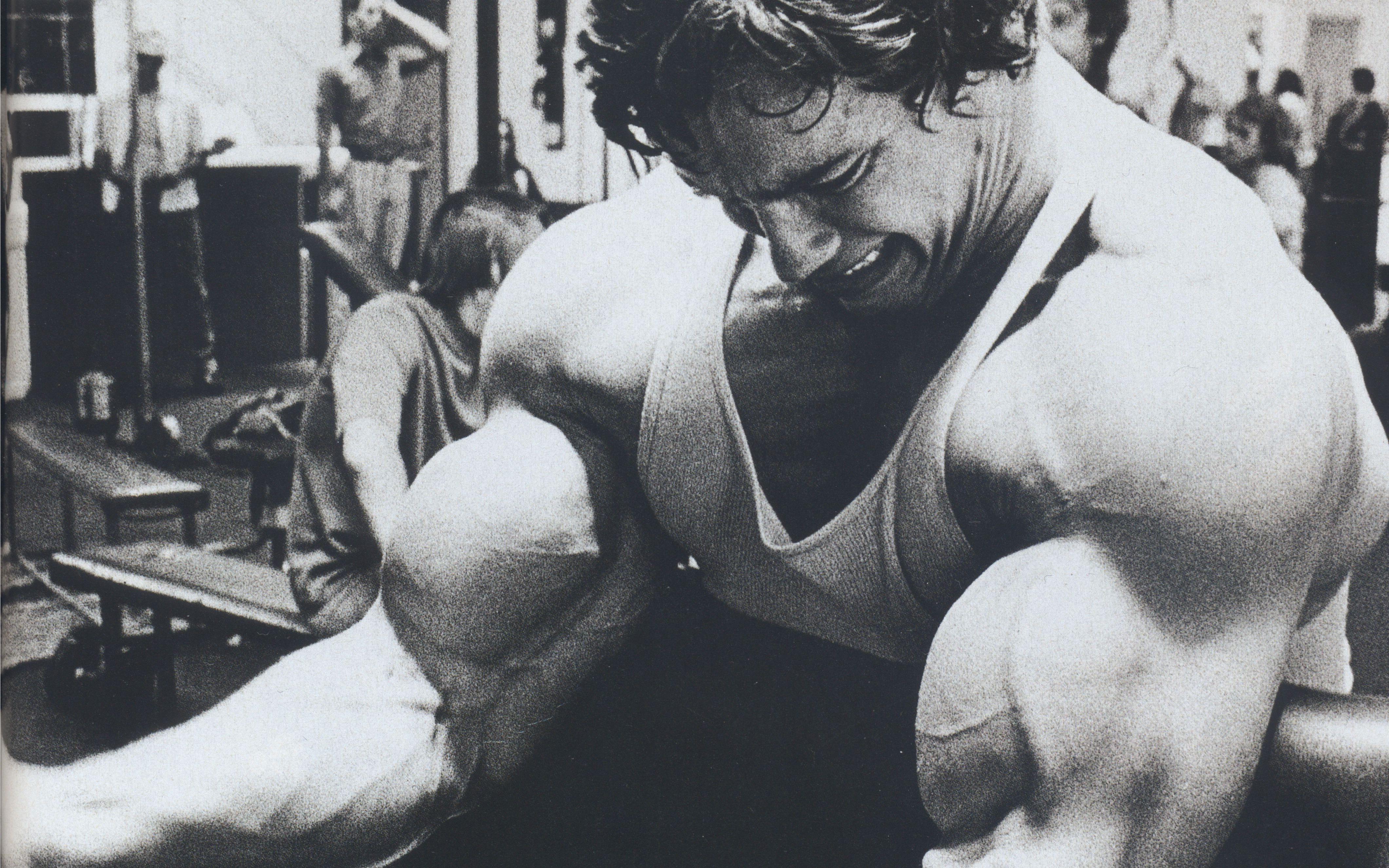 4241x2651 Arnold Schwarzenegger Image. Original 100% Quality HD