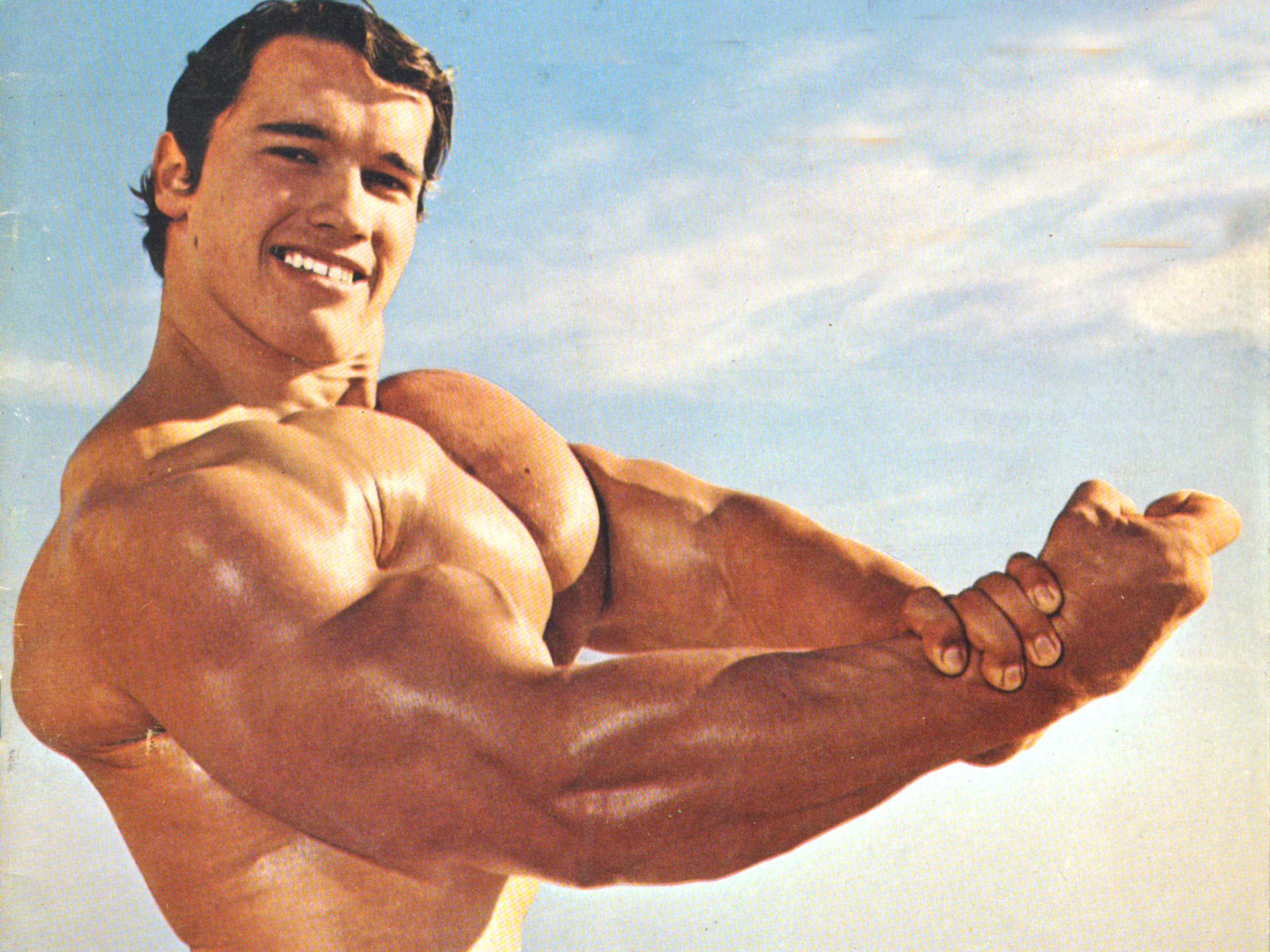 2560x1920 Wallpaper Motivation Arnold Schwarzenegger Bodybuilding