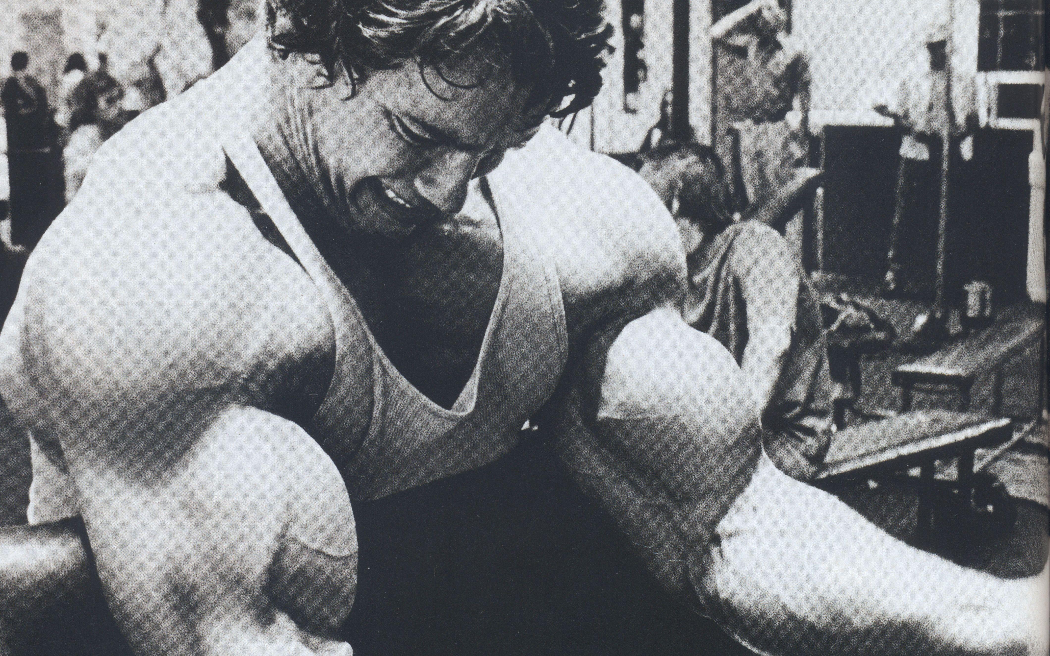 4241x2651 arnold schwarzenegger, actor, producer 2560x1024
