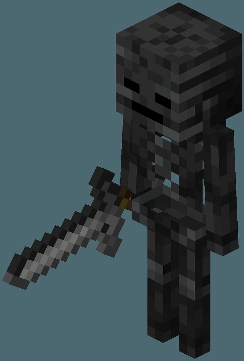 850x1257 The Nether, minecraft wither skeleton HD phone wallpaper