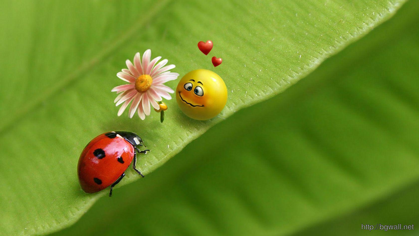1680x945 Desktop Wallpaper Nice Smiley Face, HD Wallpaper & background