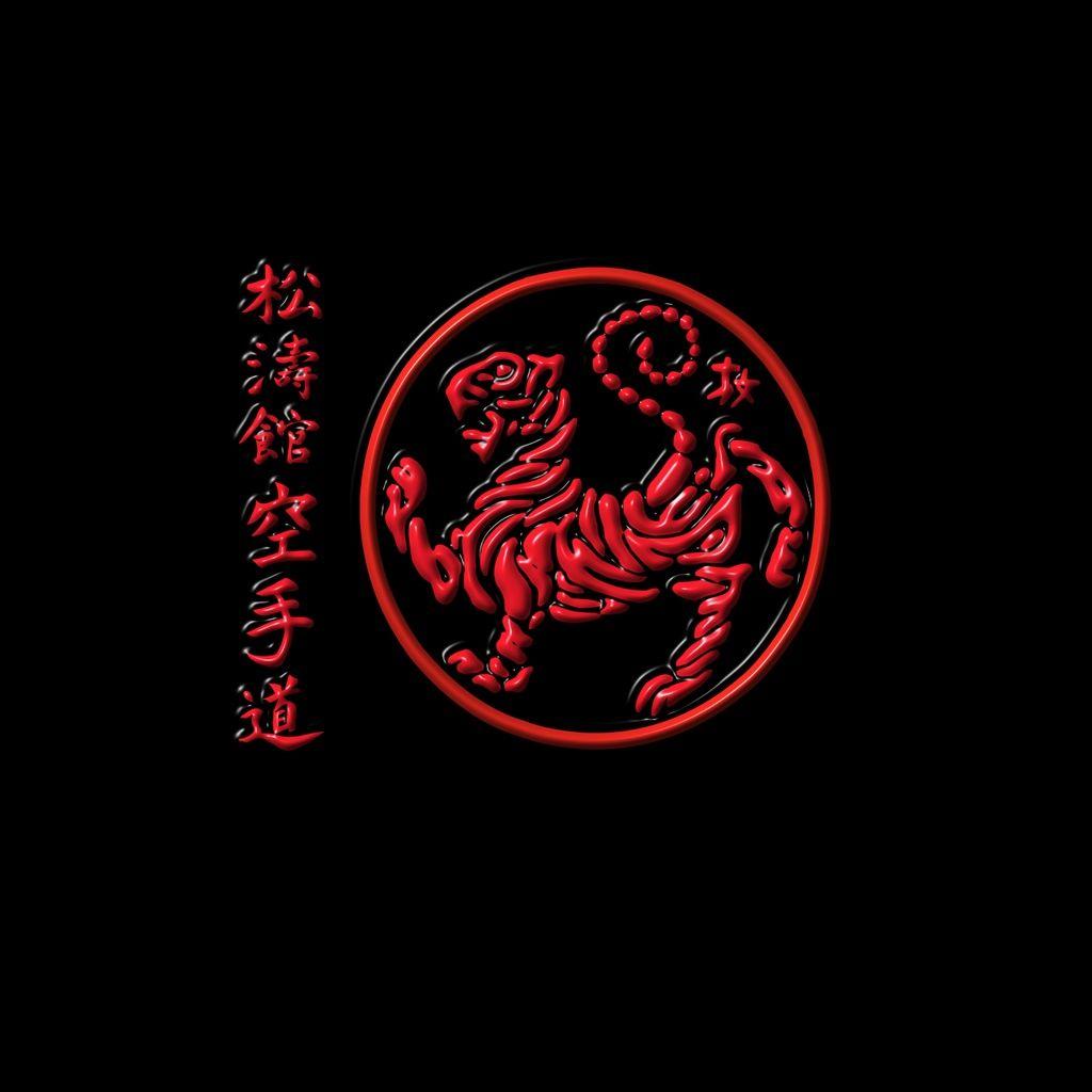 1024x1024 Full HDQ Karate Picture and Wallpaper Showcase