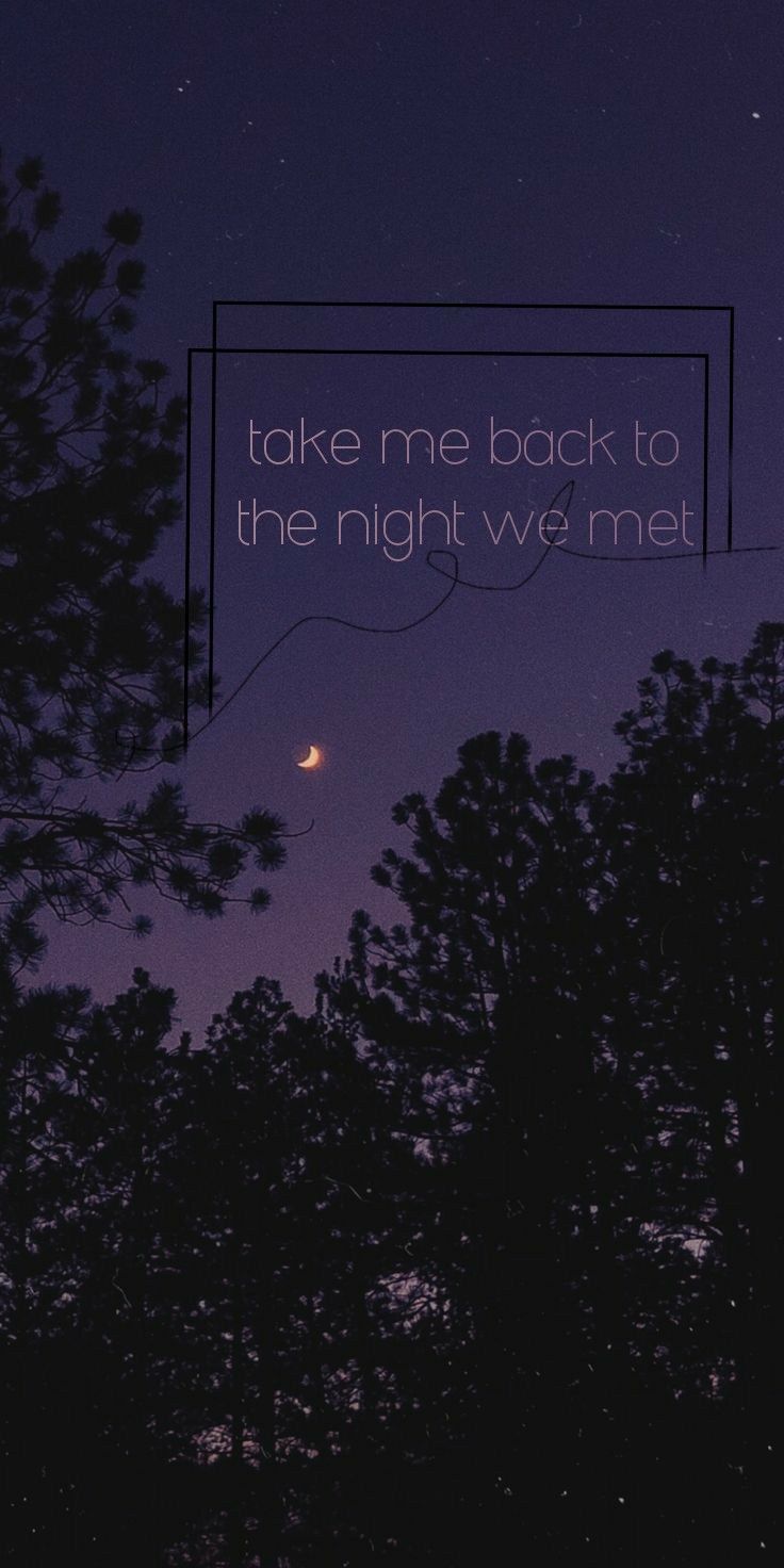 736x1472 The night we met.. lyrics.. wallpaper.. aeshetic