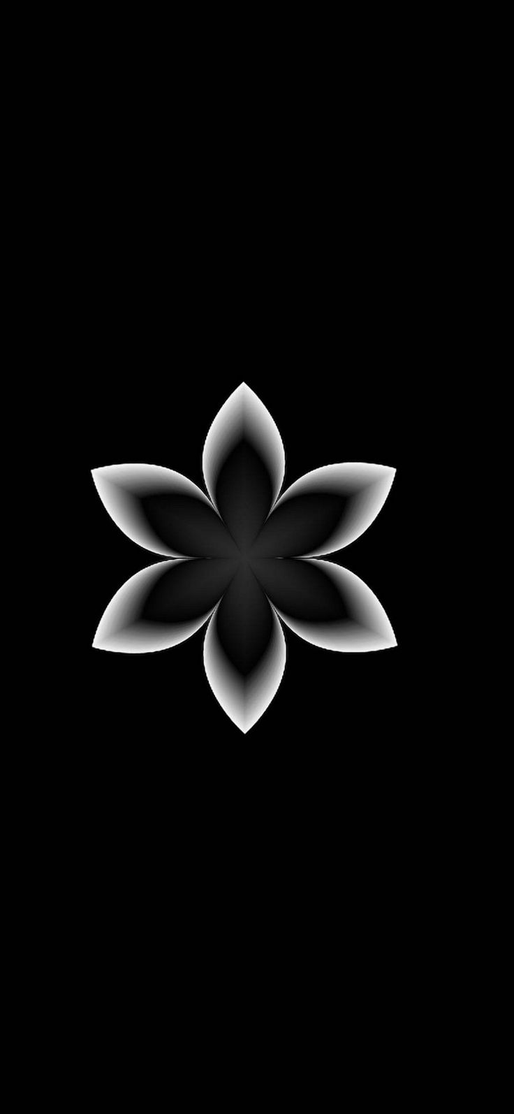 736x1594 Black Phone Wallpaper [1080x2340]