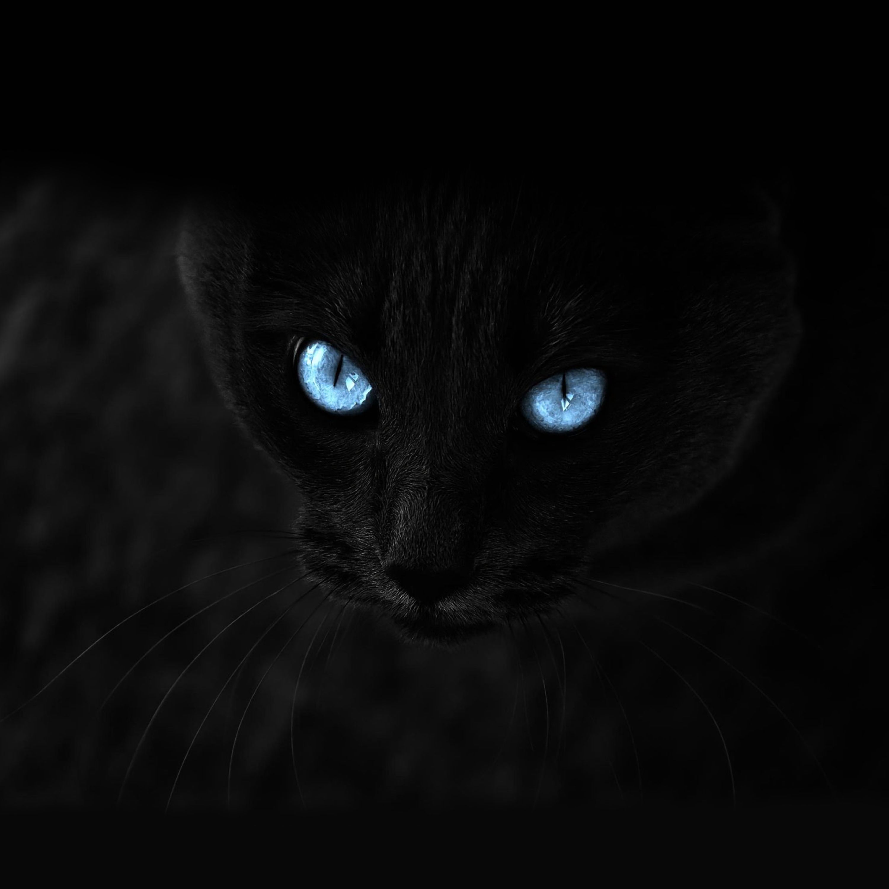 3000x3000 Black wallpaper for your phone, free download Black picture