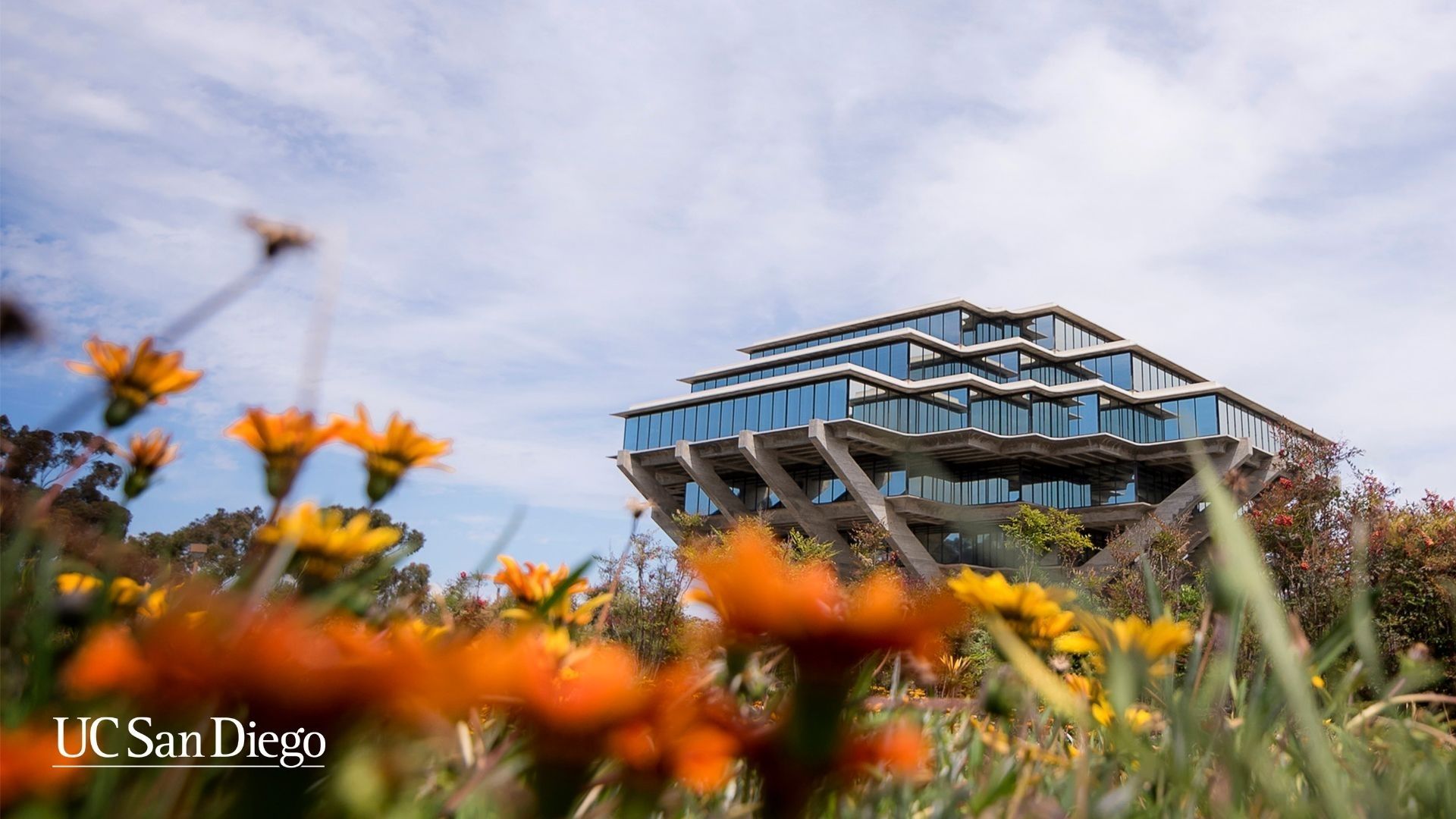1920x1080 UCSD Wallpaper