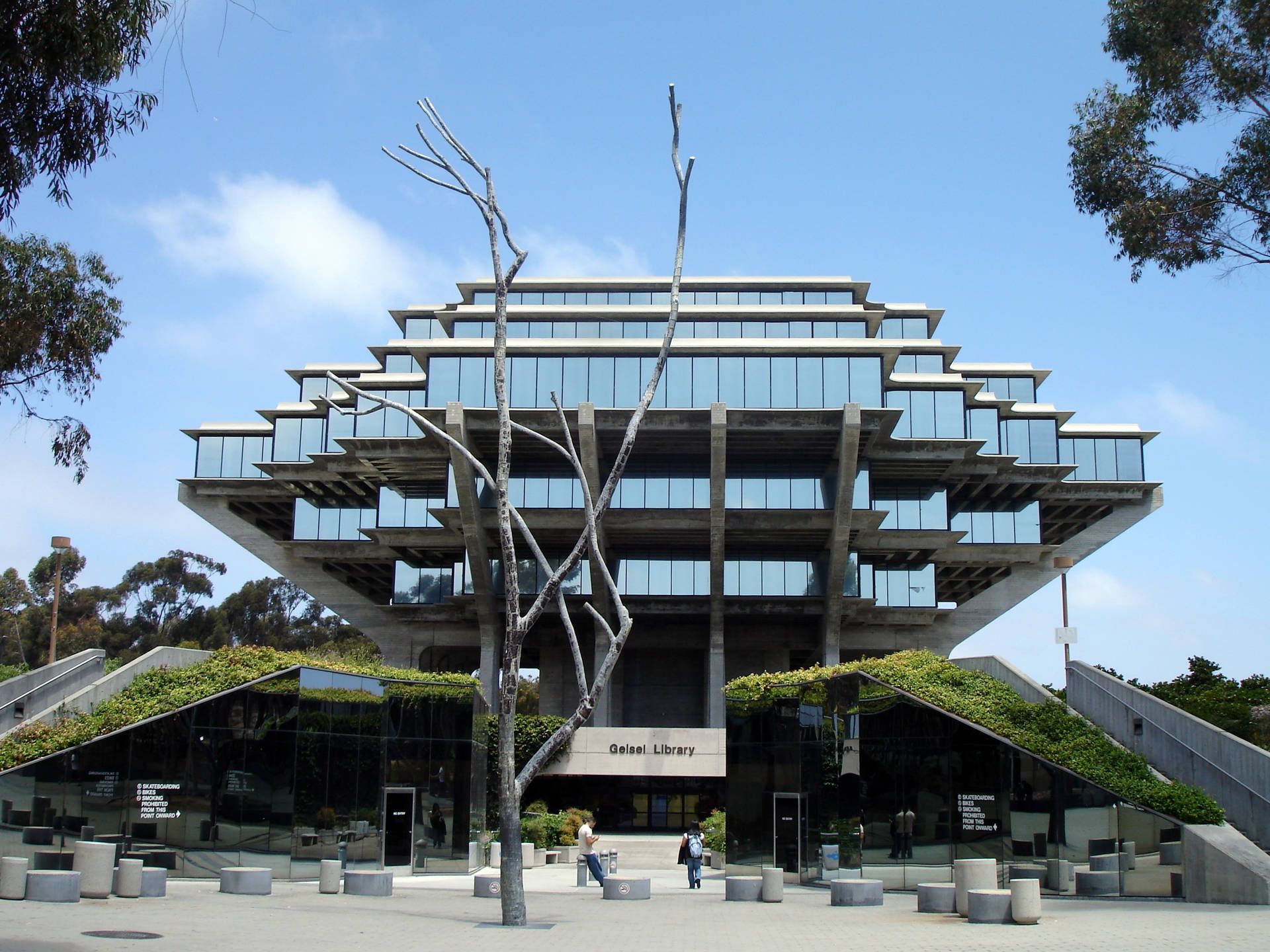 1920x1440 A Scenic And Peaceful View Of The University Of California, San Diego (ucsd) Campus During Daytime. Wallpaper