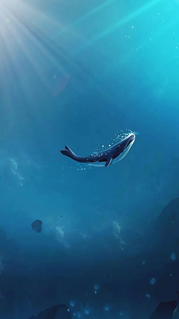 736x1308 Whale Wallpaper