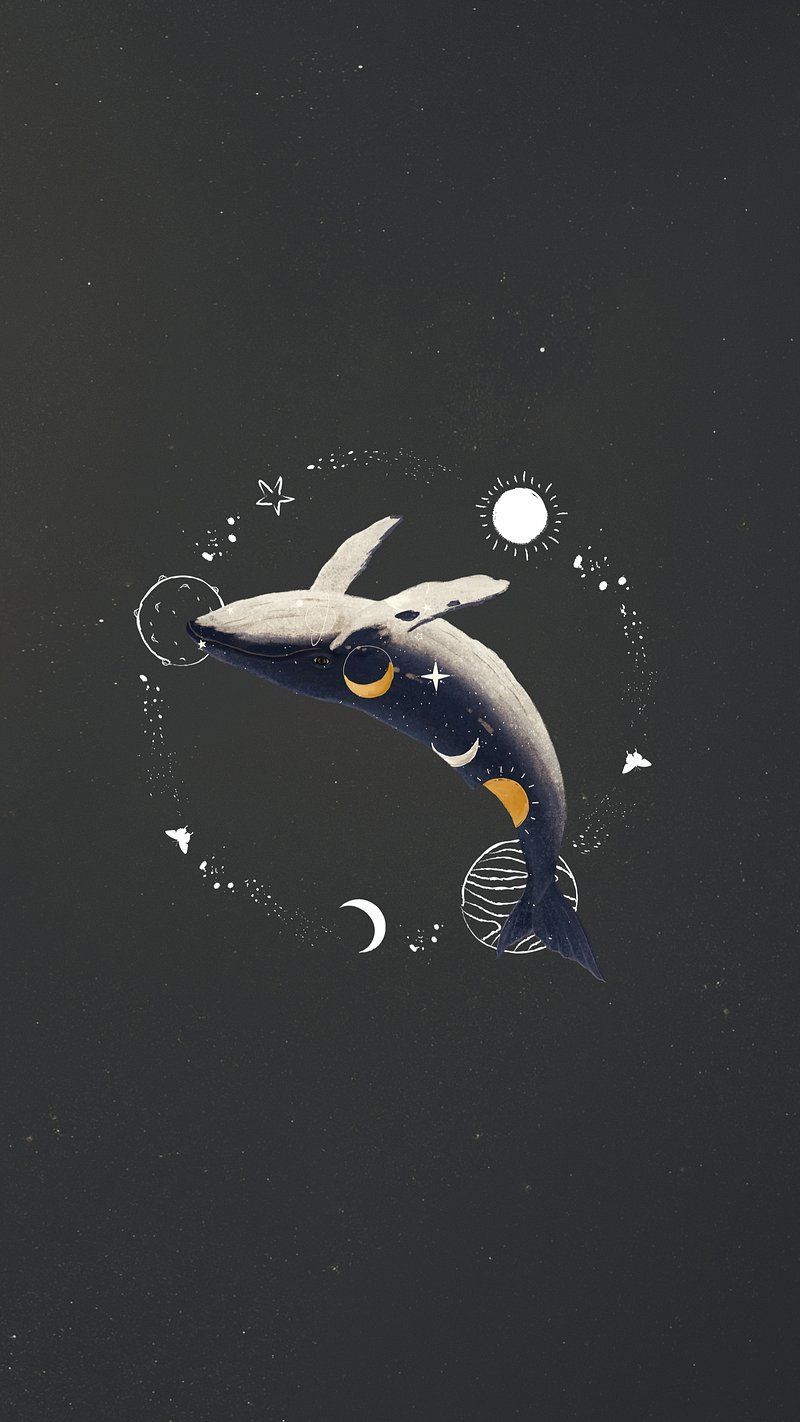 800x1422 Wallpaper Aesthetic Whale Image Wallpaper