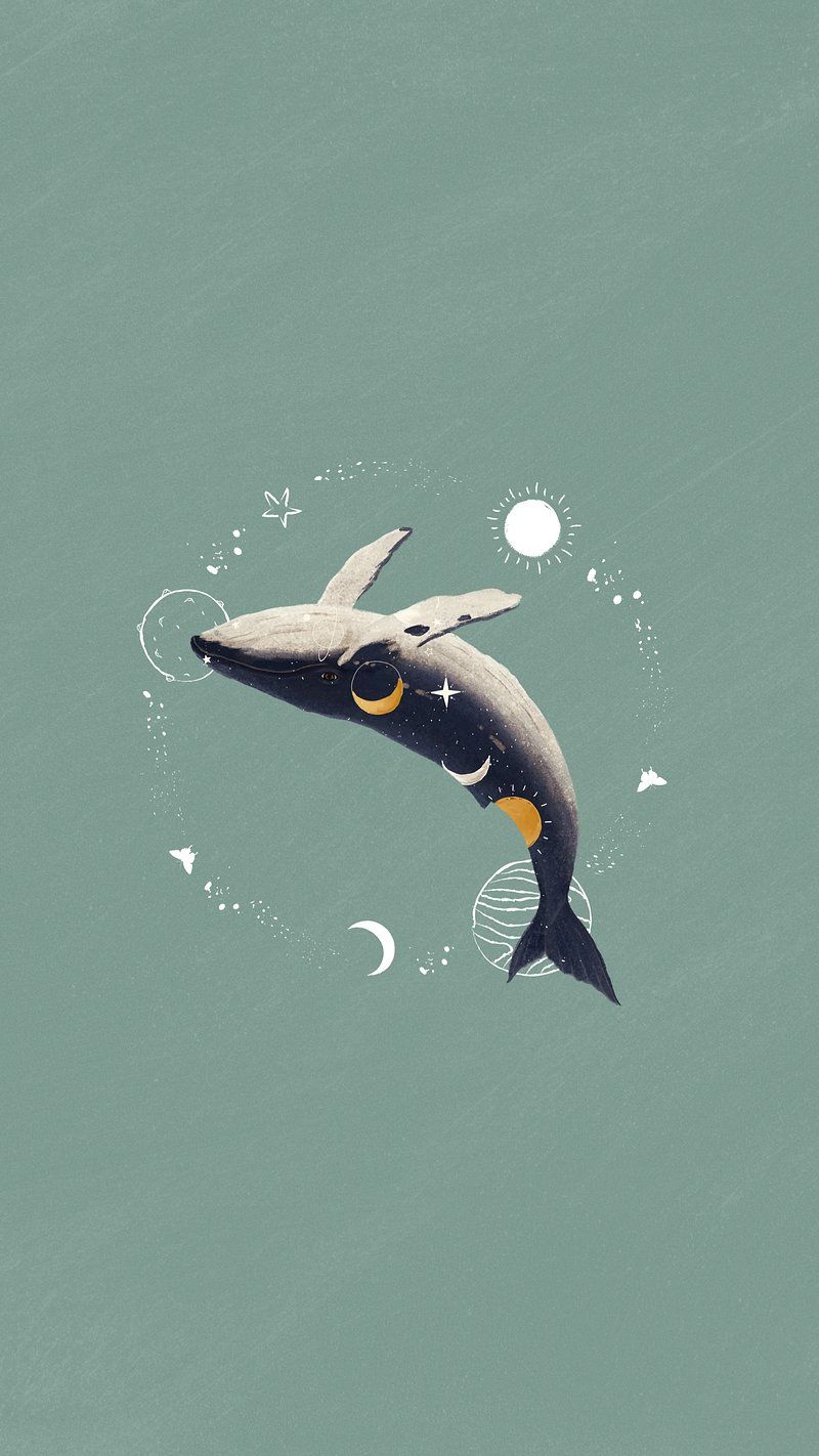 800x1422 iPhone Wallpaper Whale Image Wallpaper