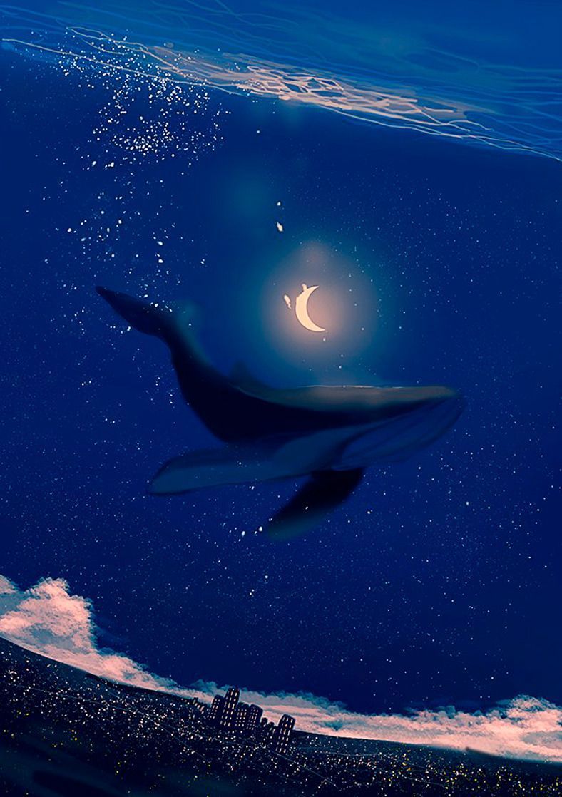 788x1118 Aesthetic Whale Wallpaper