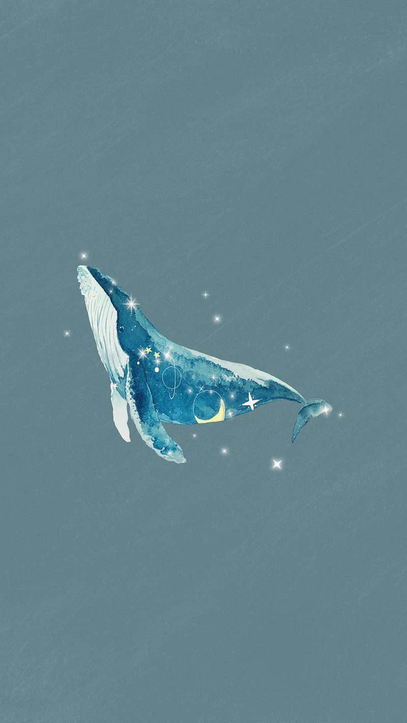 800x1422 Whale Wallpaper Image Wallpaper