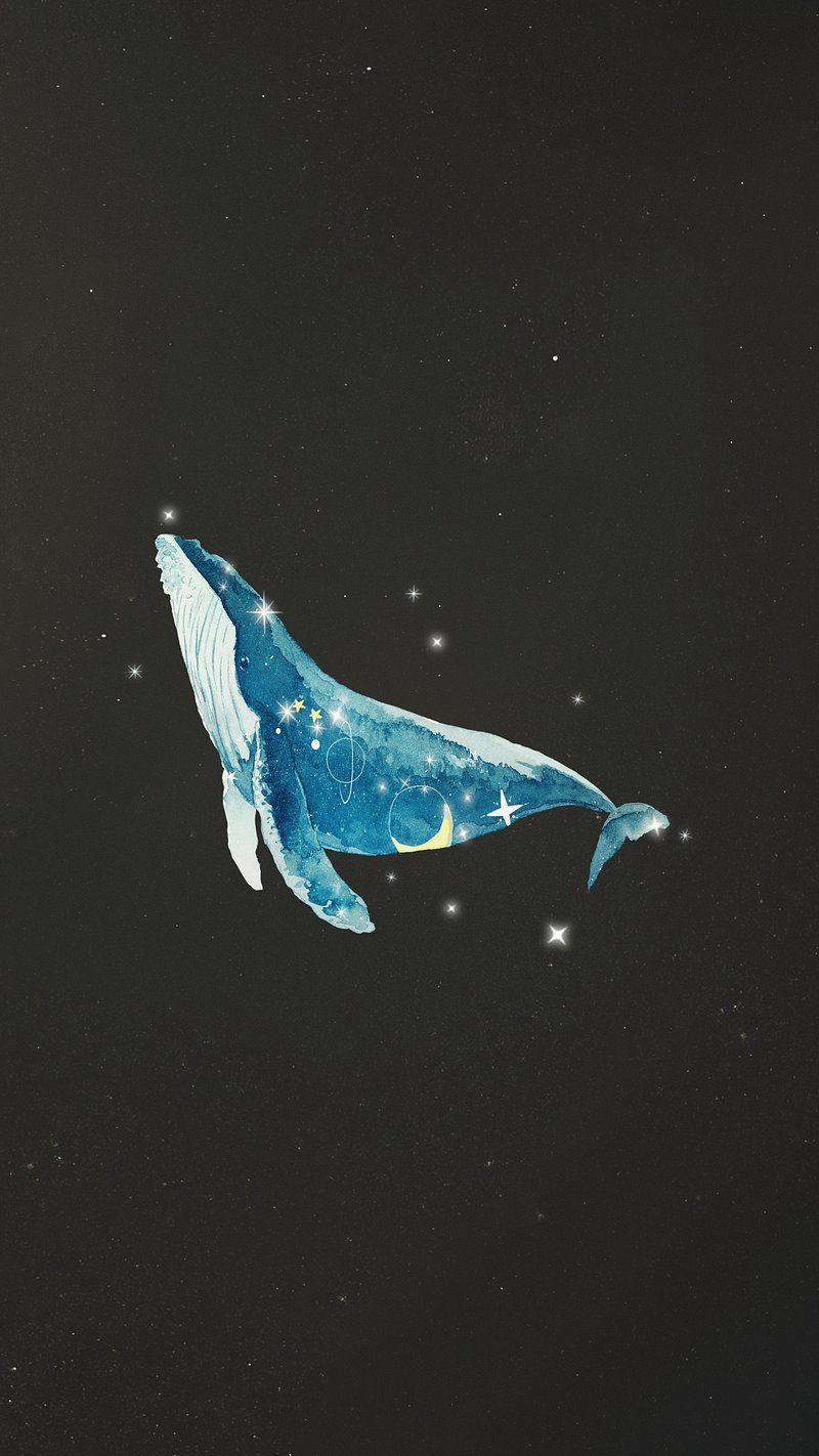 800x1422 Blue Whale Fish Lockscreen Image Wallpaper