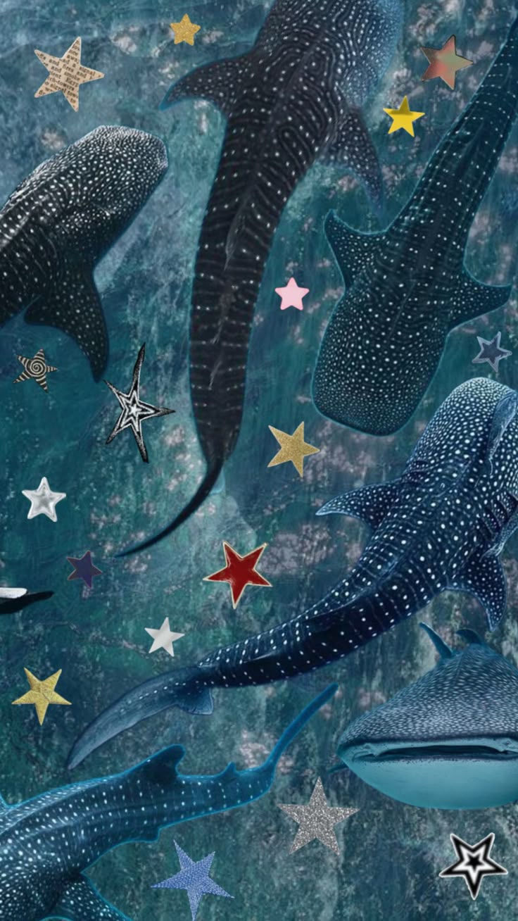736x1308 whaleshark #shark #ocean