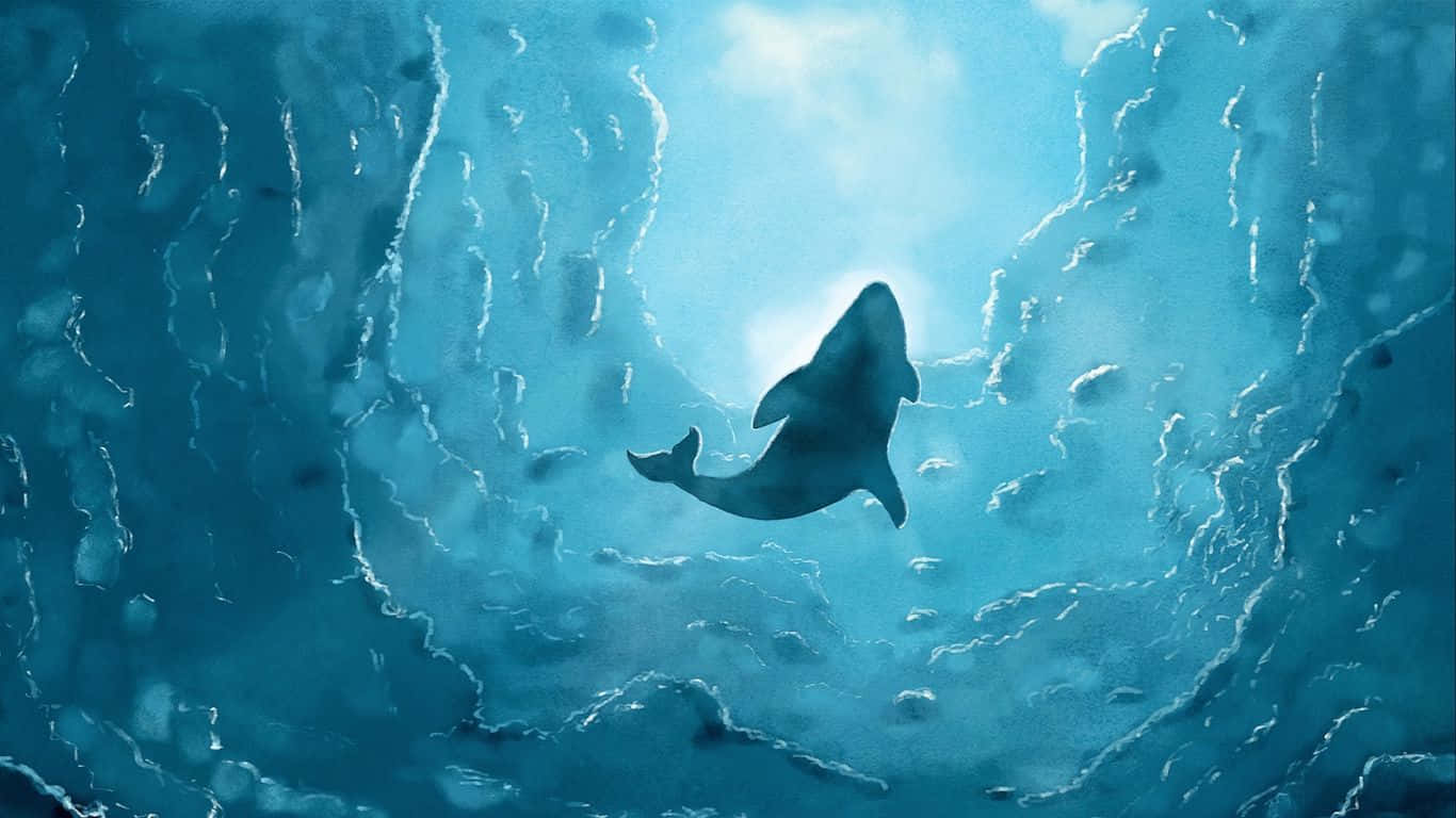 1366x768 Whale Wallpaper