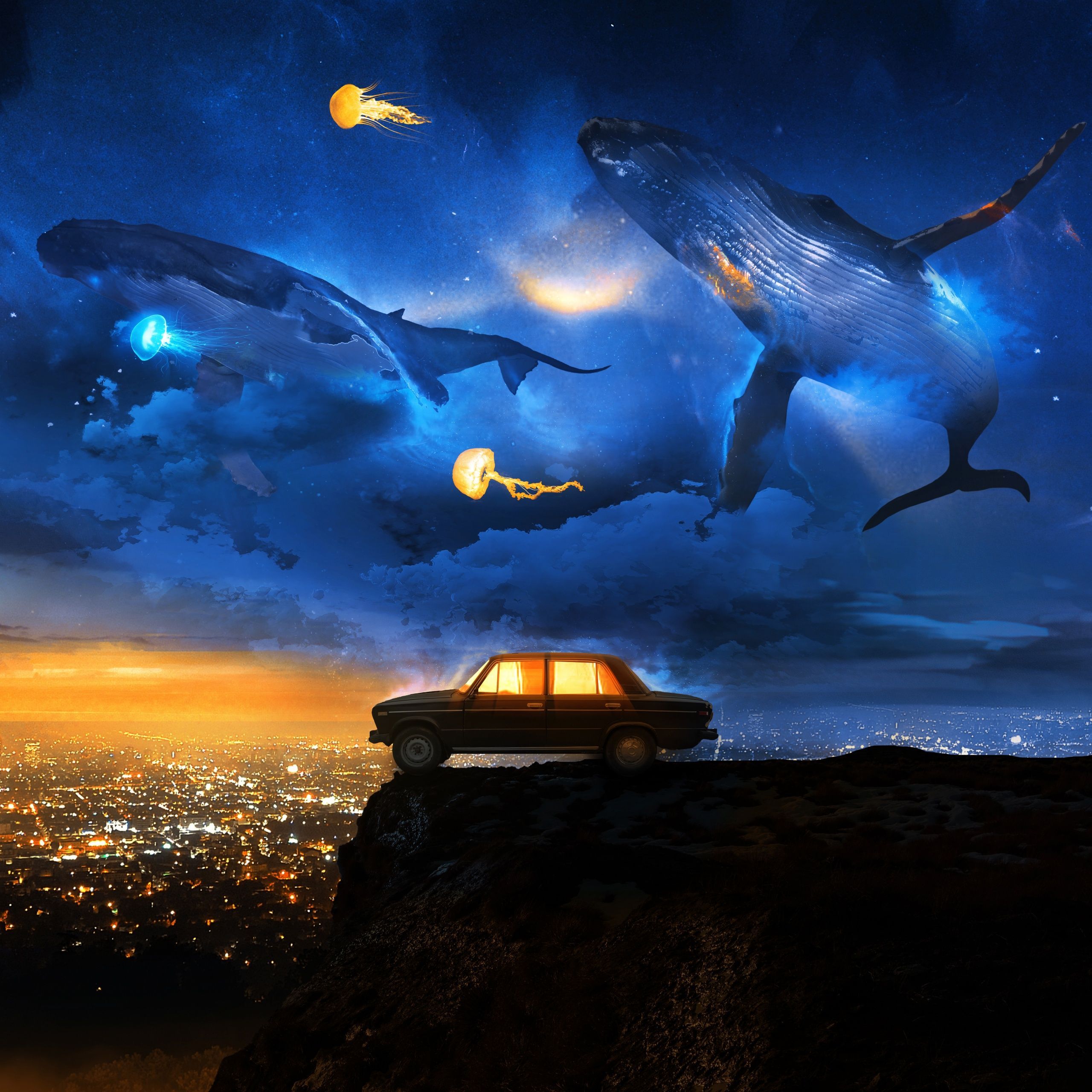 2560x2560 Flying Wallpaper 4K, Whales, Dreamlike, Cliff