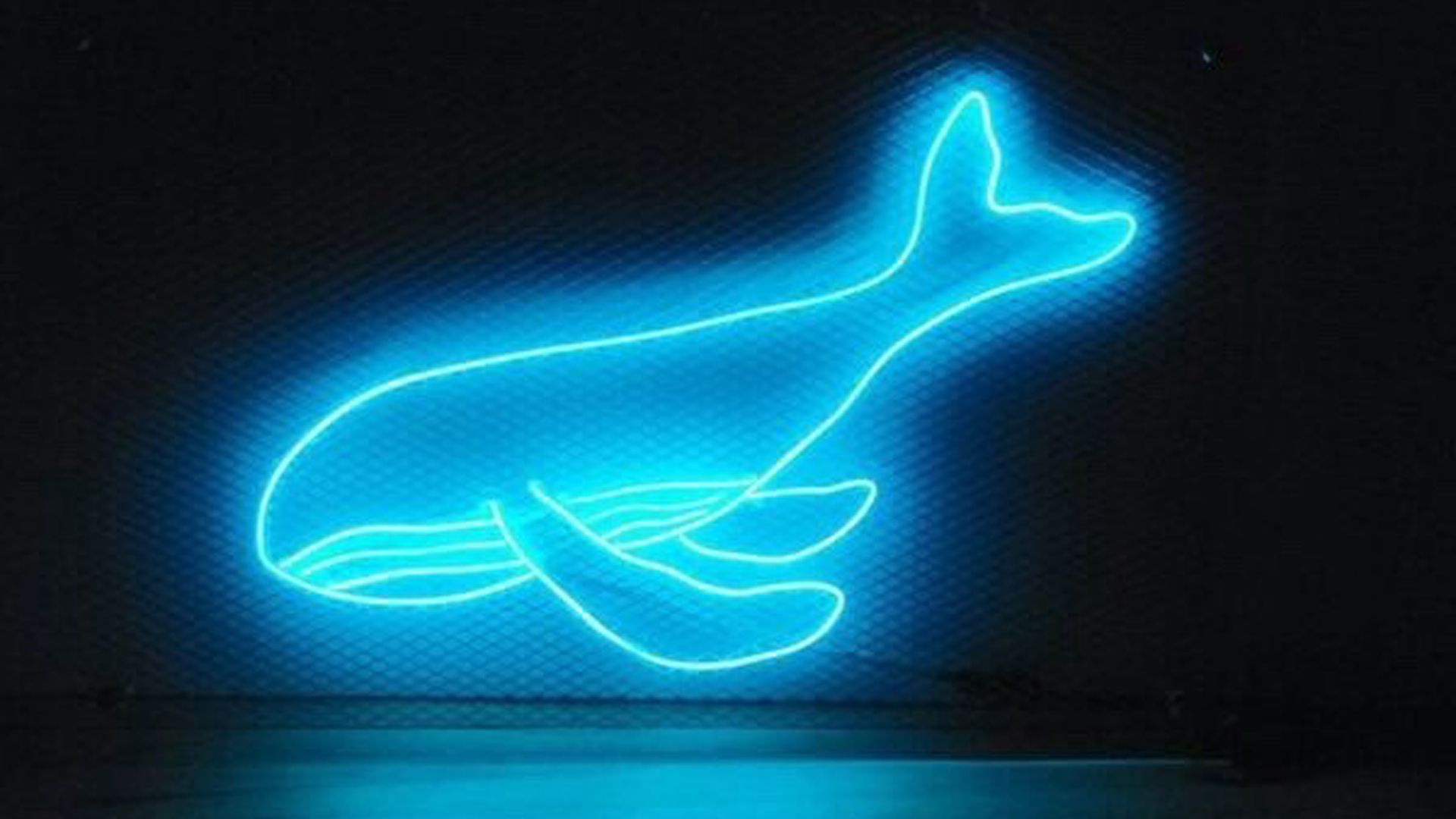 1920x1080 Neon Whale Blue Aesthetic HD Blue Aesthetic Wallpaper