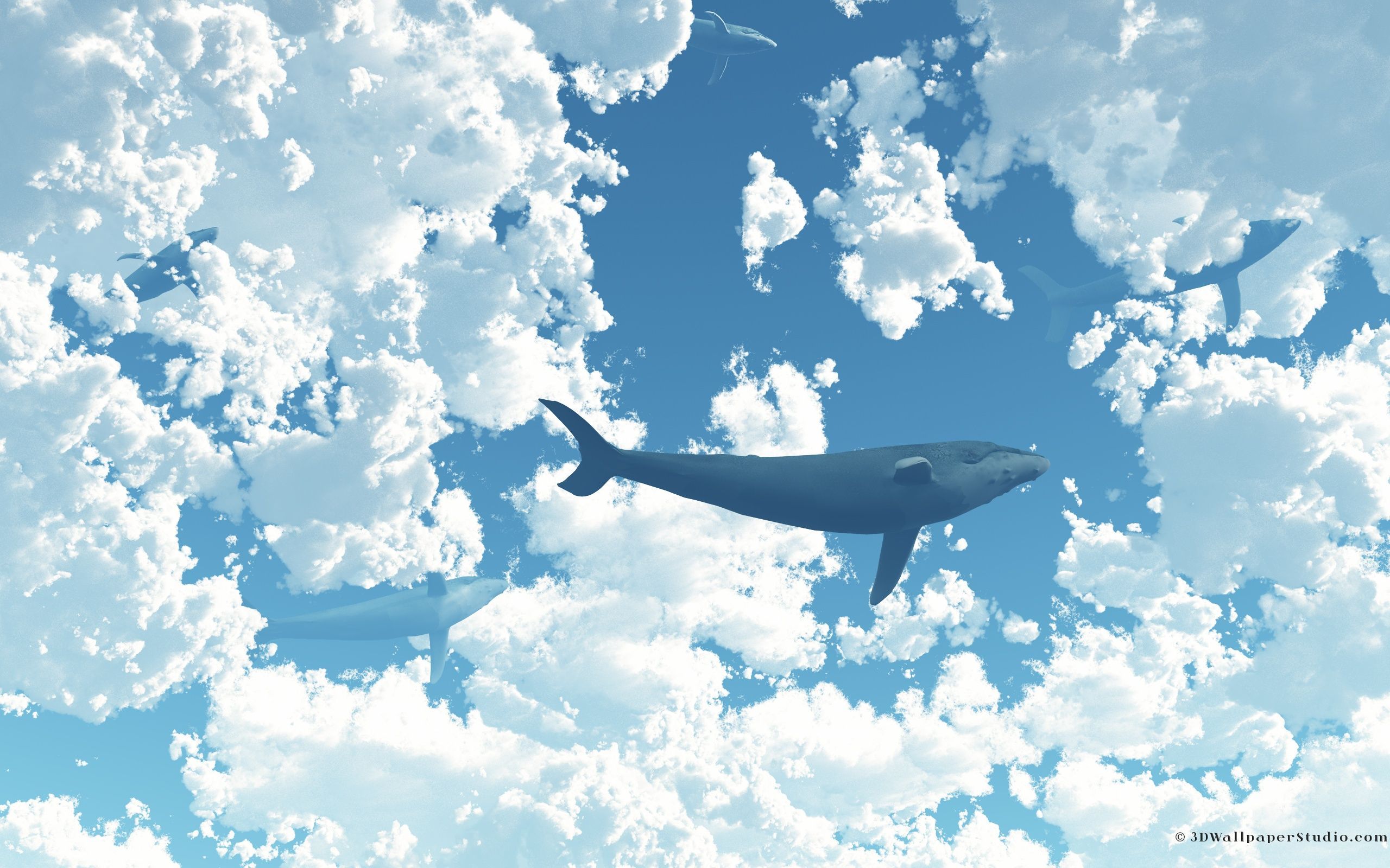 2560x1600 Majestic Whale Soars Through Cloudscape. HD Animal Wallpaper