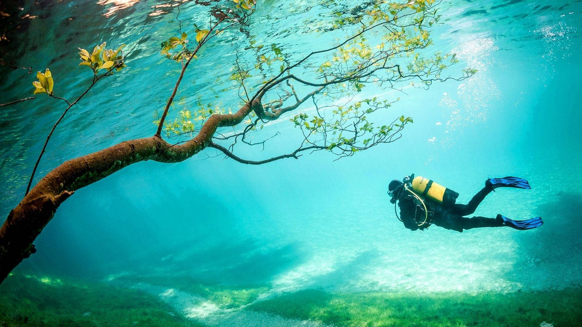 1920x1080 Everything You Need To Know About Scuba Diving In Maldives