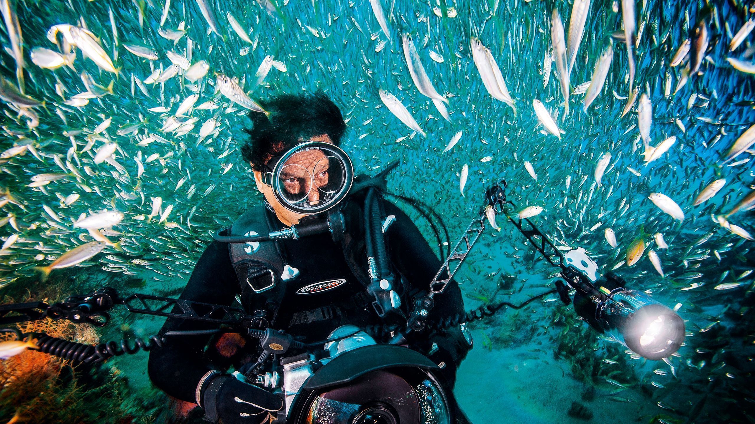 2560x1440 Deep sea diving with underwater photographer David Doubilet