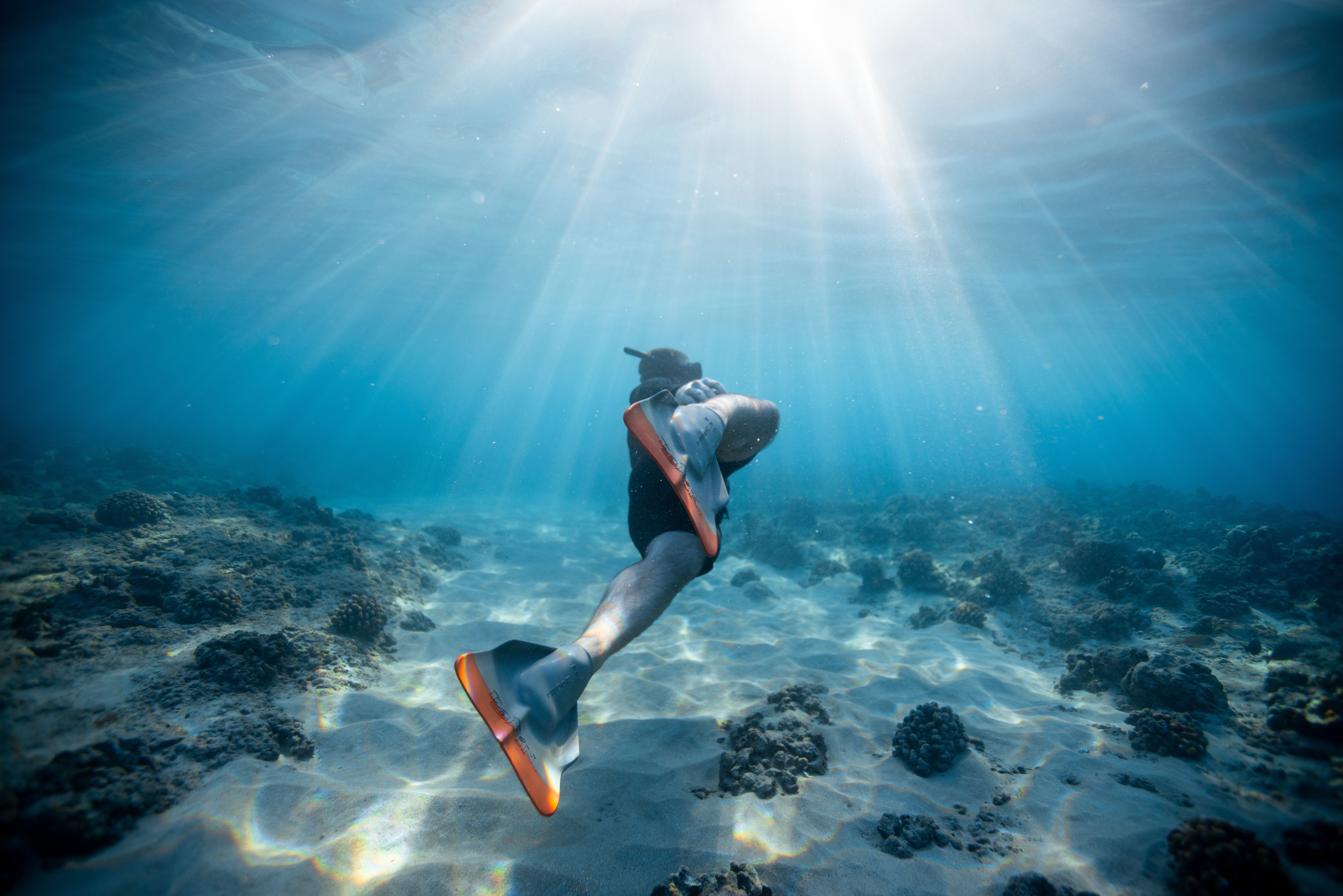 7952x5304 Download Photography Underwater 8k Ultra HD Wallpaper