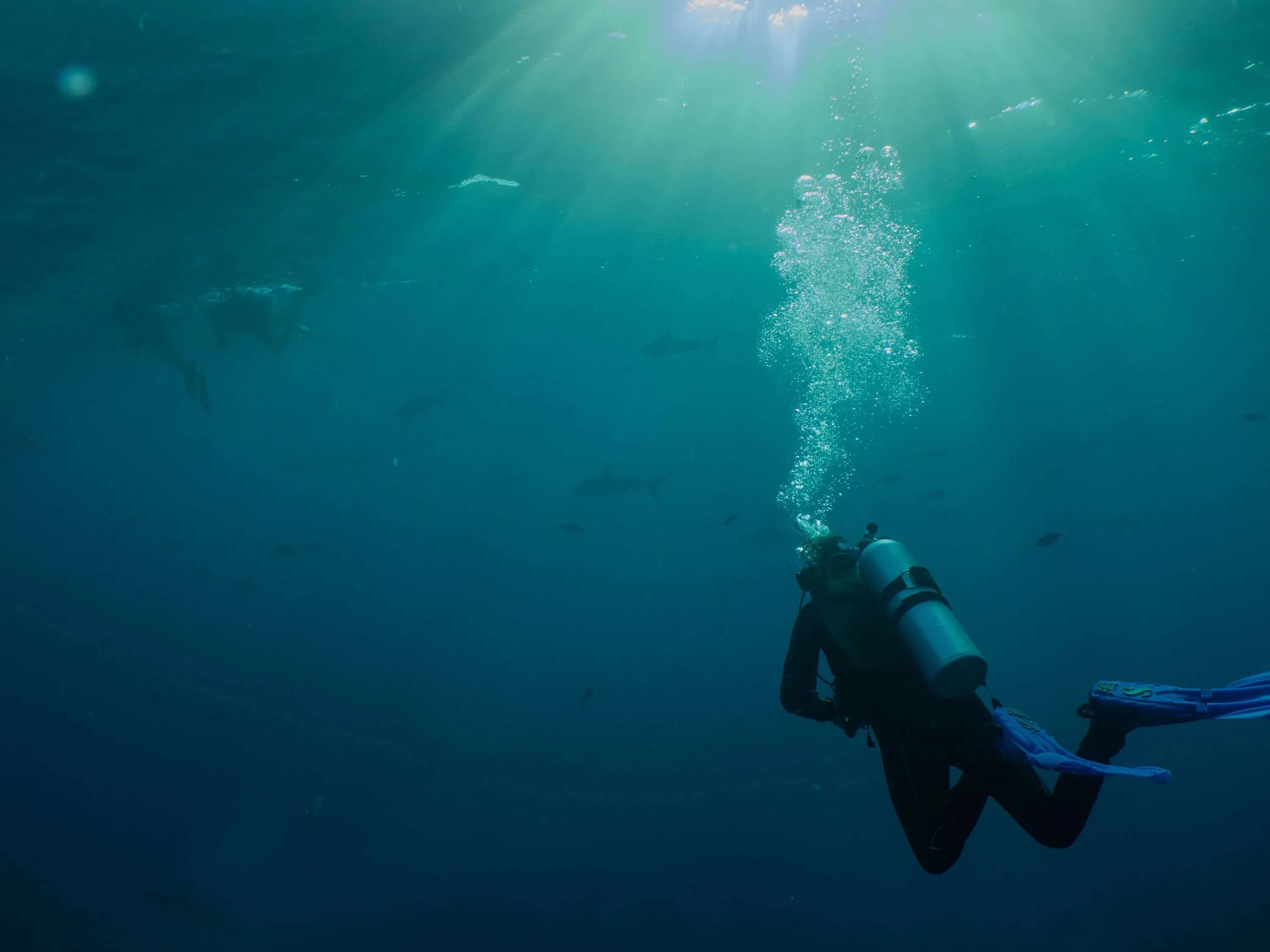 3000x2250 Making Diving Accessible for Everyone