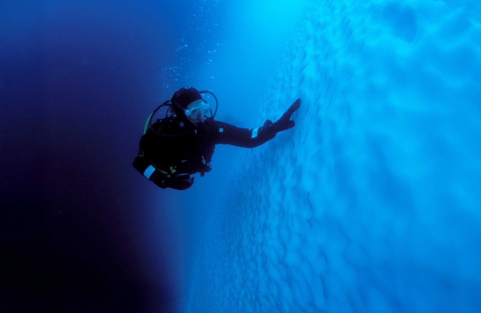 1600x1041 Scuba Diving Trips. Discover the World's most beautiful Polar Diving locations