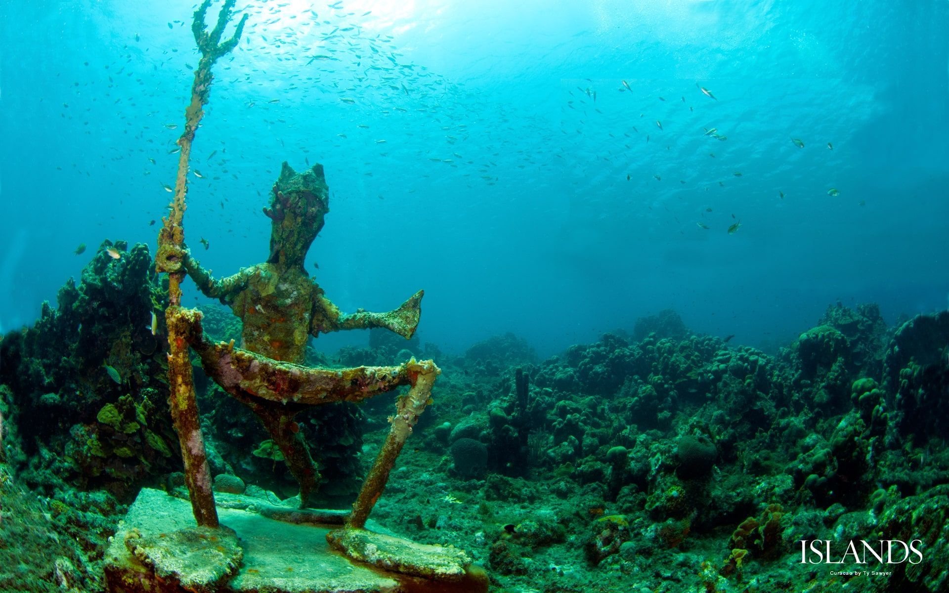 1920x1200 World's Best Snorkeling And Scuba Diving Wallpaper Ever