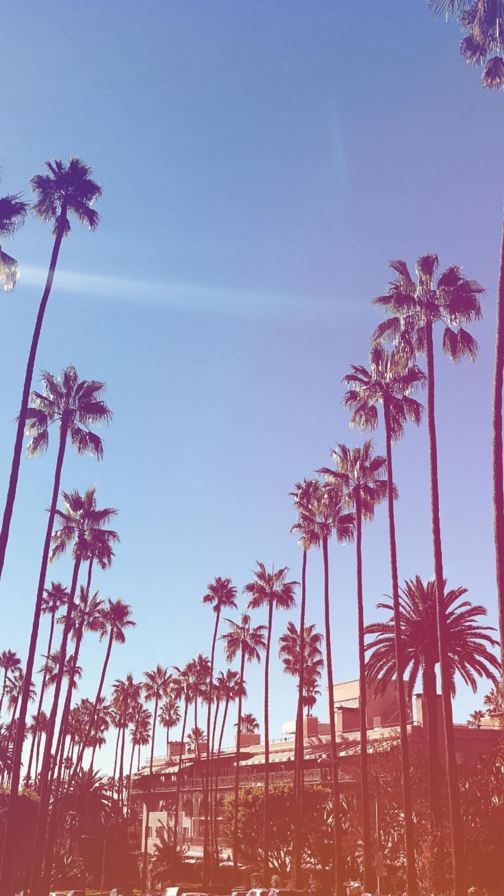 736x1308 Quick Saves. Aesthetic wallpaper, iPhone background wallpaper, Beautiful landscapes