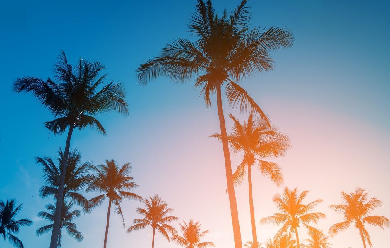 1332x850 Summer Vibes Laptop Wallpaper