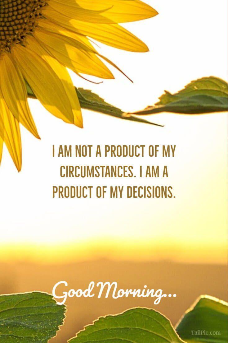 735x1103 Good Morning Quotes And Image Positive Words for Good Morning