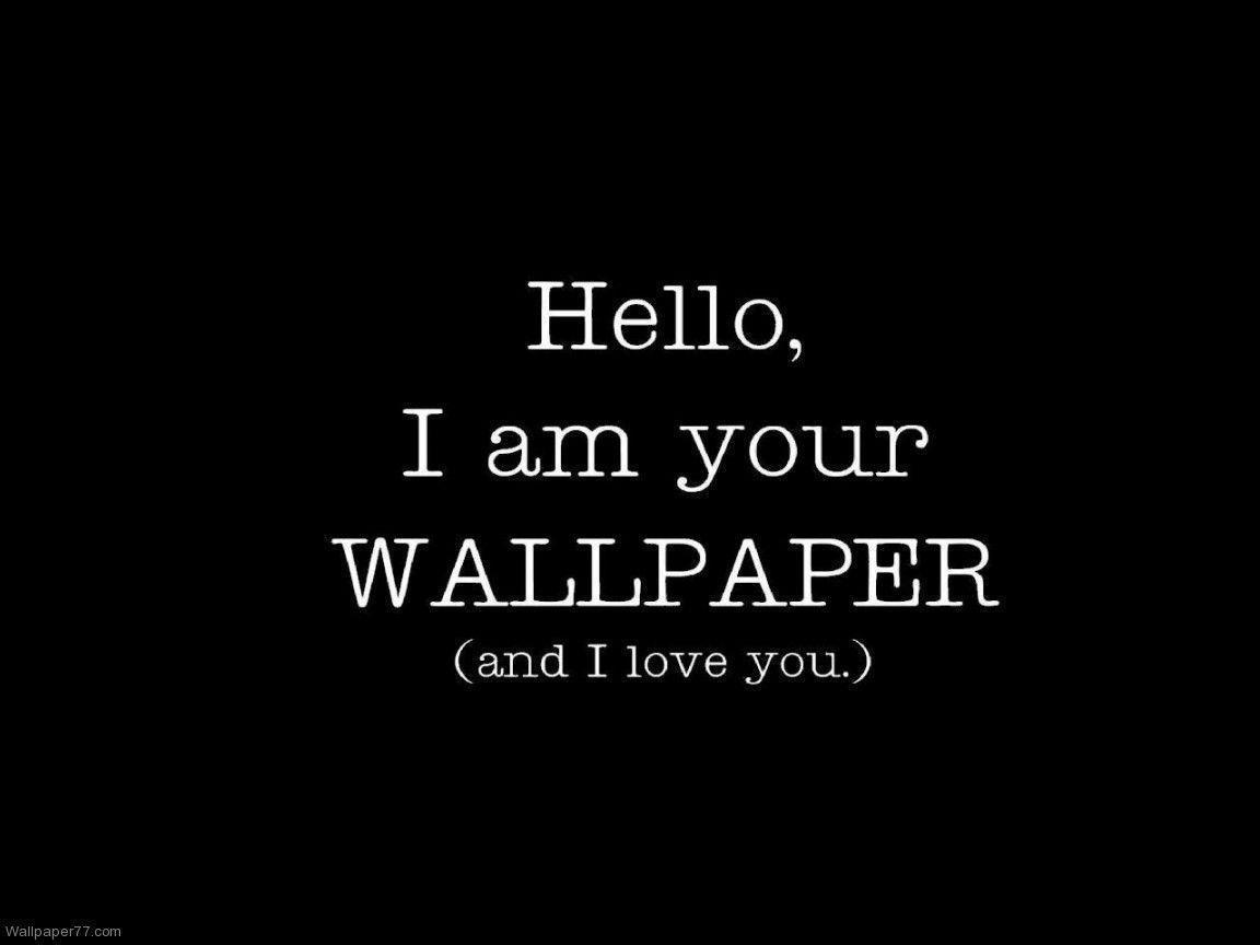 1152x864 Funny Desktop Wallpaper, Picture