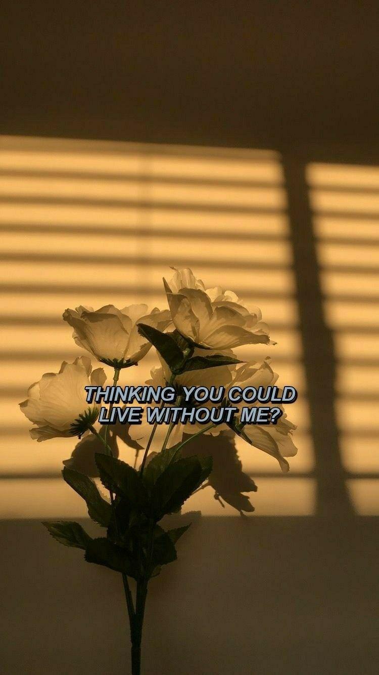 750x1334 ♡ Without me//Halsey ♡. Halsey lyrics, Music lyrics, Song