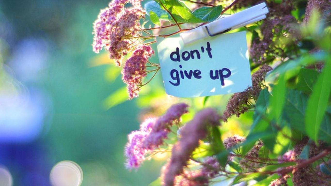 Don't Give Up Wallpapers - Top Free Don't Give Up Backgrounds ...