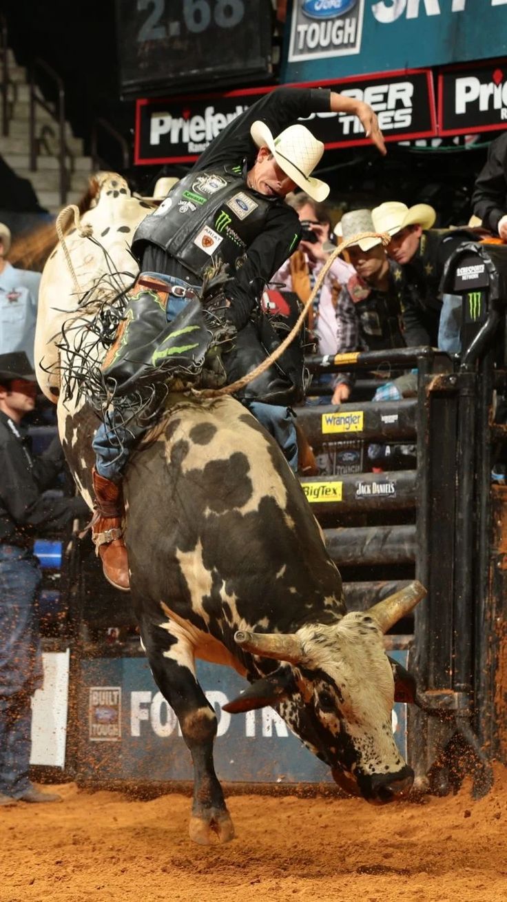 736x1309 ideas de Bull para guardar hoy. monta de toros, caballos, imágenes vaqueras y más