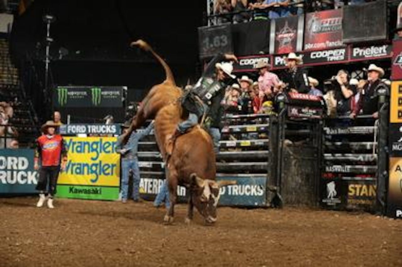 1280x852 Local Cowboys Take the Bull By the Horns