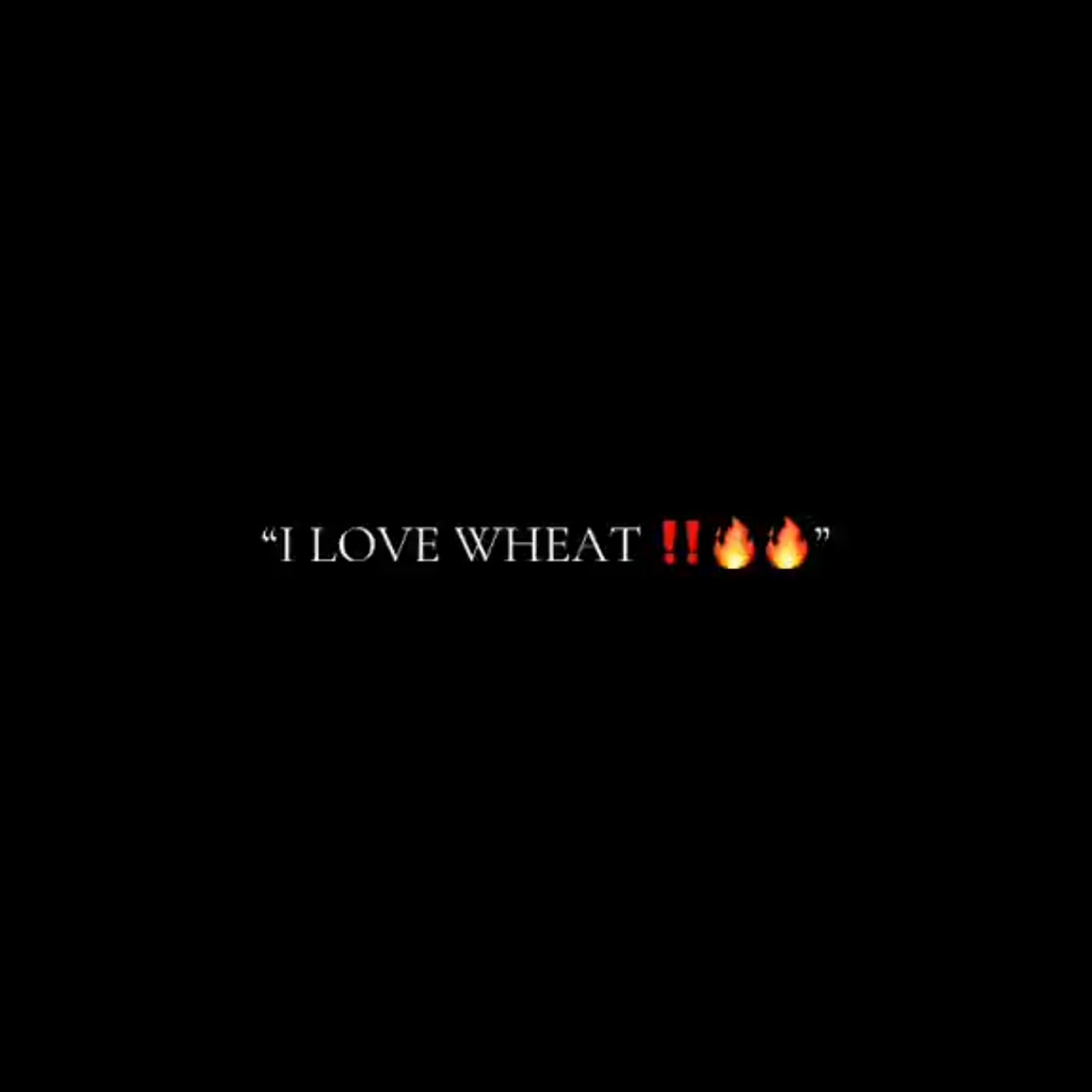 1220x1220 Daily dose of Wemmbu