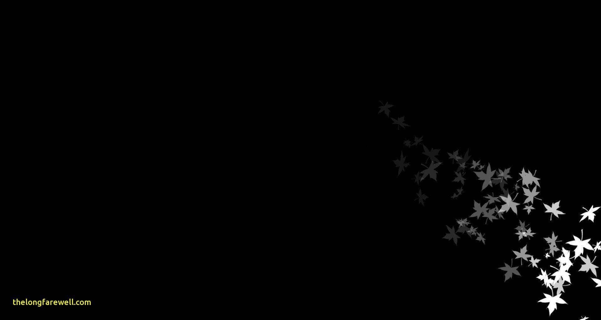 1920x1024 Pure Black Wallpaper