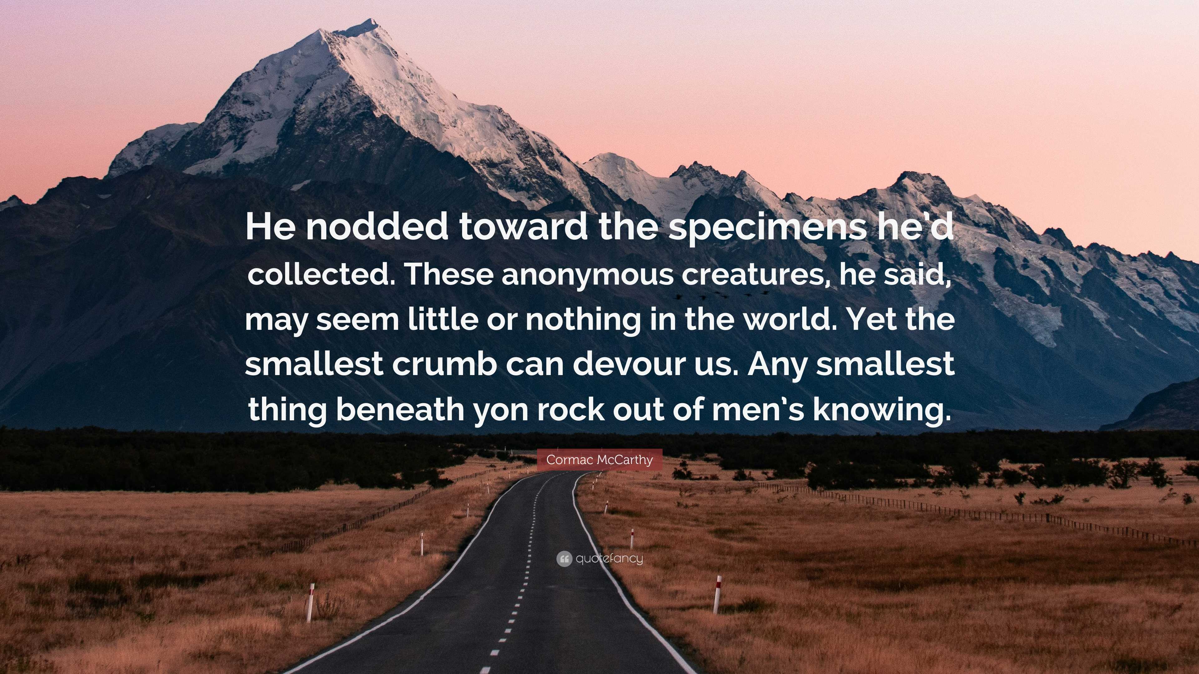 3840x2160 Cormac McCarthy Quote: “He nodded toward the specimens he'd collected. These anonymous creatures, he said, may seem little or nothing in the.”