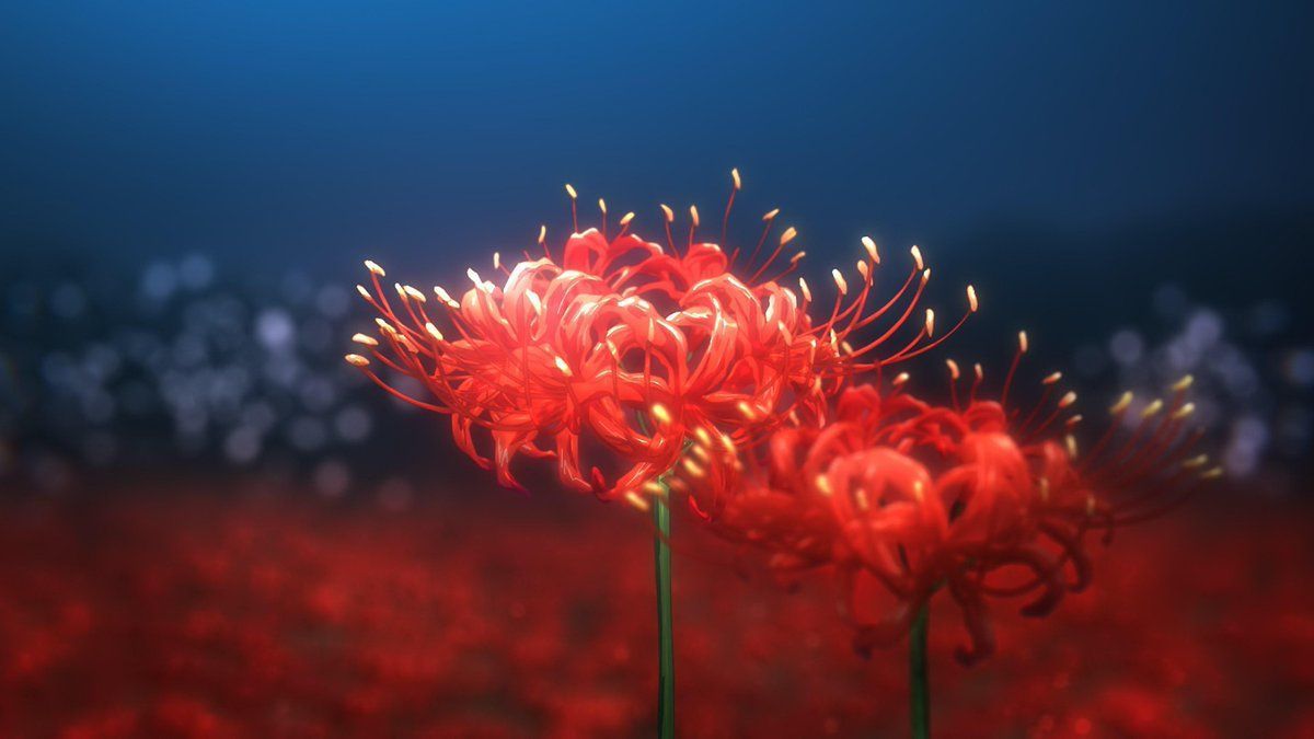 1200x675 Shingo Adachi's opening is pretty great too, reminiscent of his Alicization one down to having dragged back Asahi Pro compositing staff (with Waki supervision) despite the lead photography staff for the show